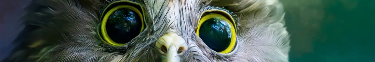 Art By JLM painted close-up of a ruru morepork owl with wide yellow eyes, brand banner