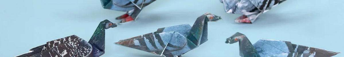 Pikki