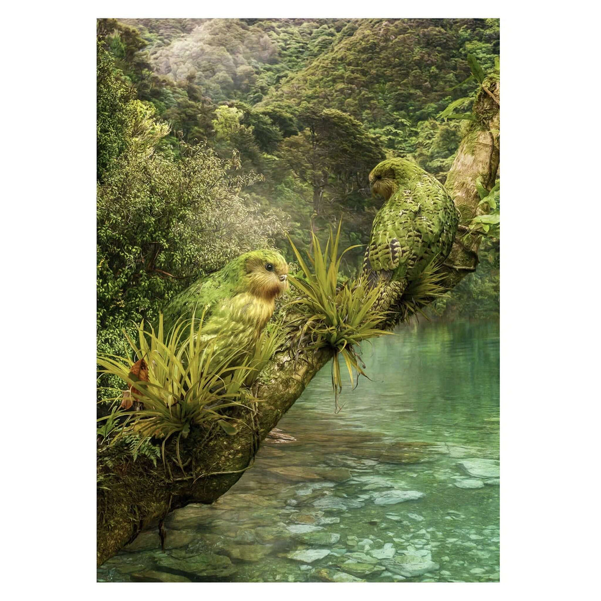 Art By JLM Card - Kakapo: A Hidden World featuring two kākāpo perched over a stream in New Zealand.