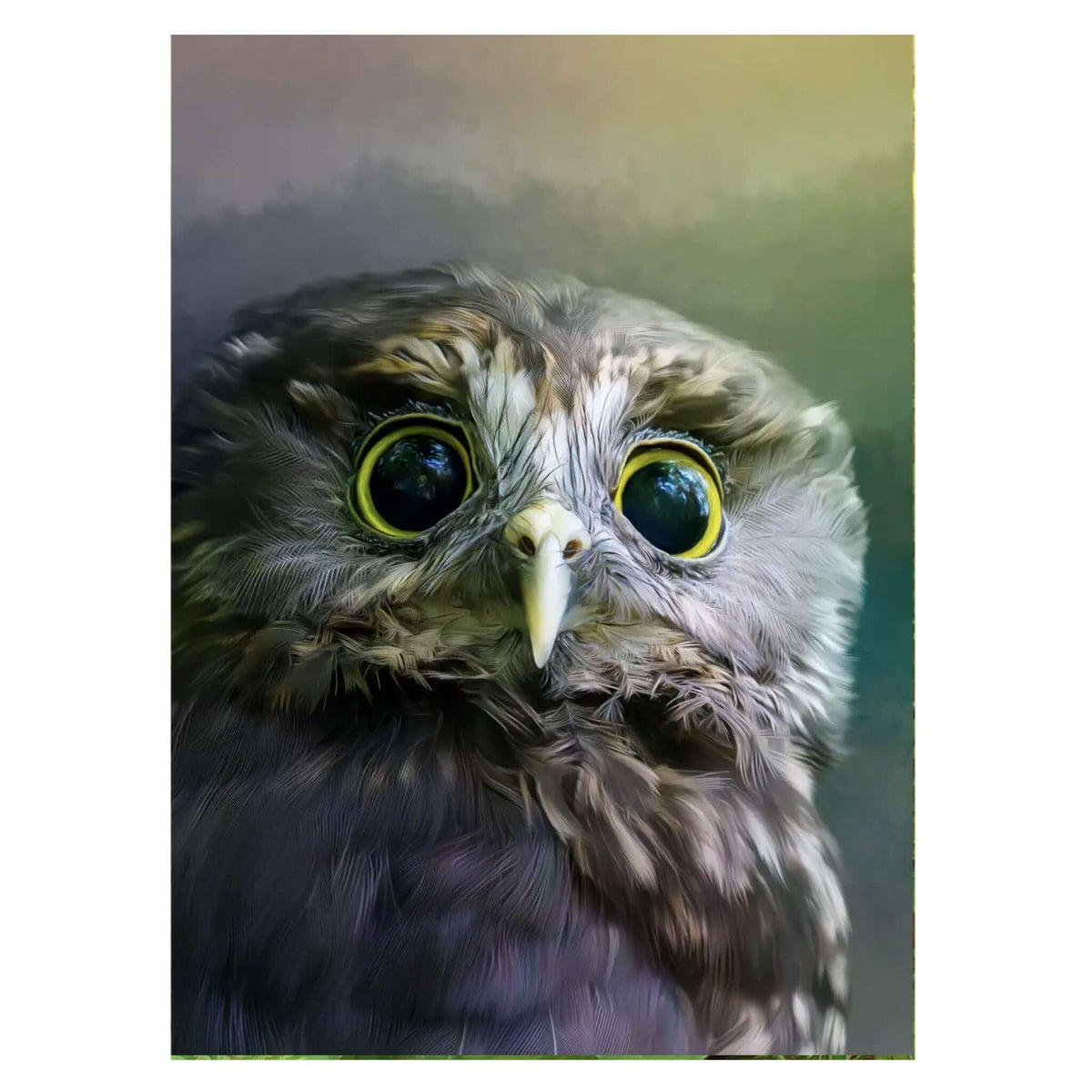 Art By JLM Card - Ruru: the Guardian featuring a morepork with luminous yellow eyes.