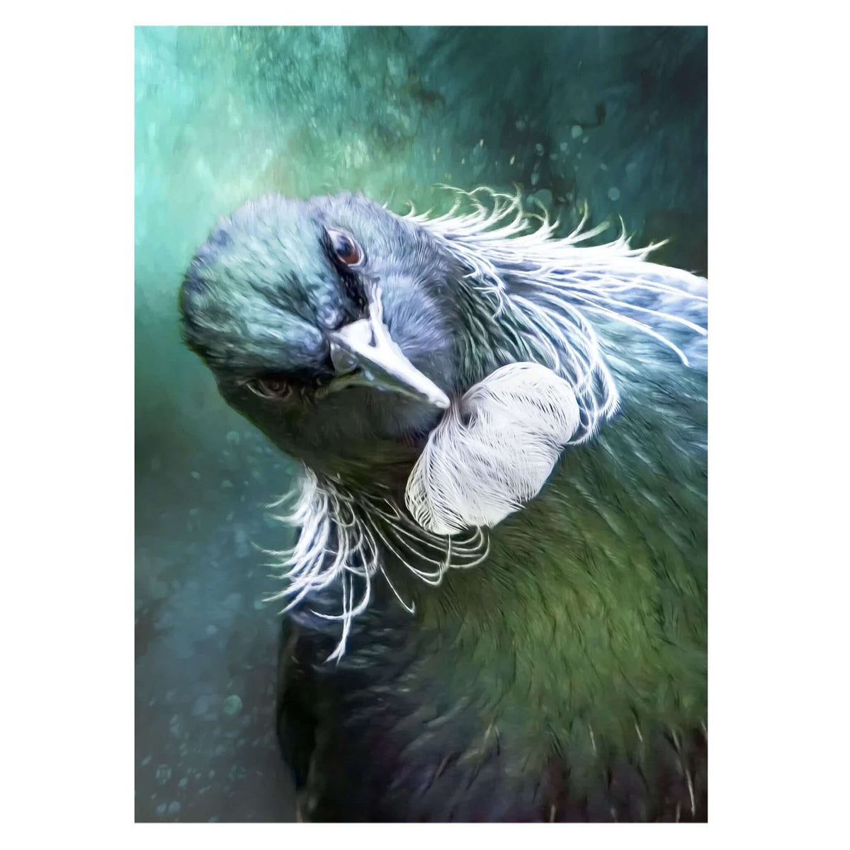 Art By JLM Card - Tui: Are You Sure featuring a Tūī bird with ruffled feathers and a playful side-eye.