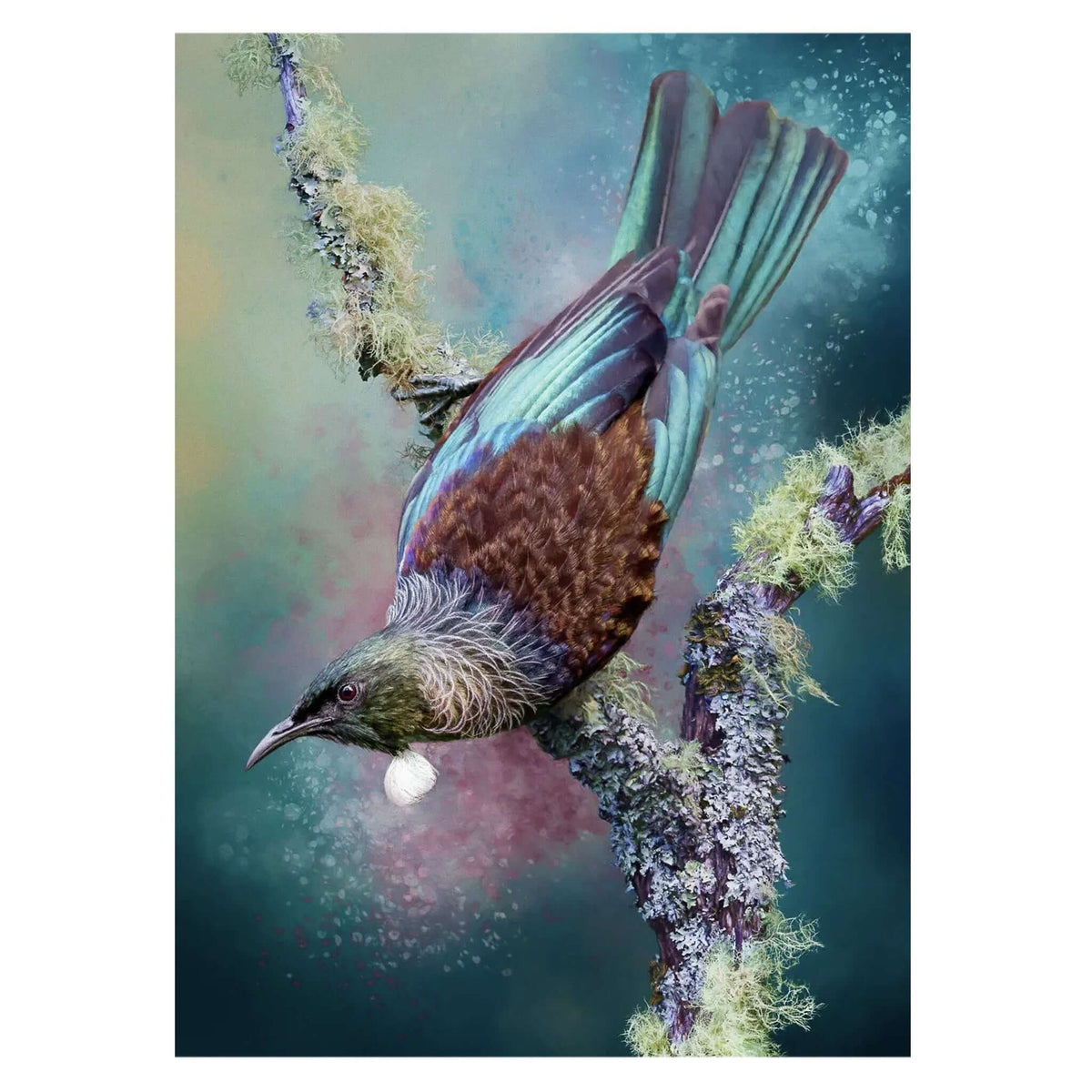 Art By JLM Card - Tui: Graceful Splendour featuring a stunning tūī perched with vibrant feathers.