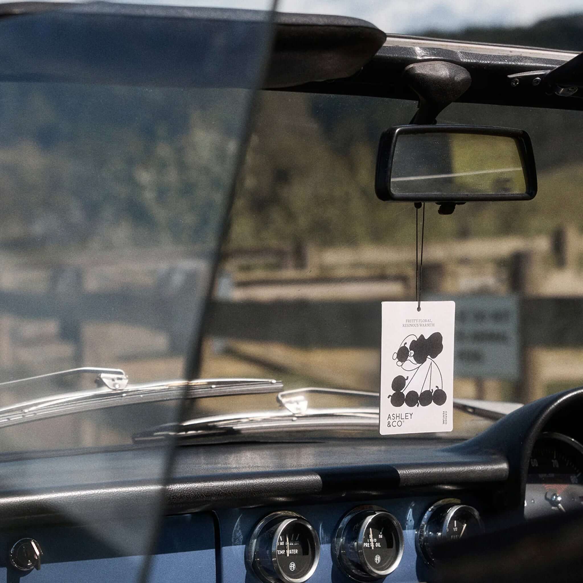 Ashley & Co Carded Perfume Air Freshener - Bonberry hanging from car rearview mirror, portable fruity-floral fragrance card