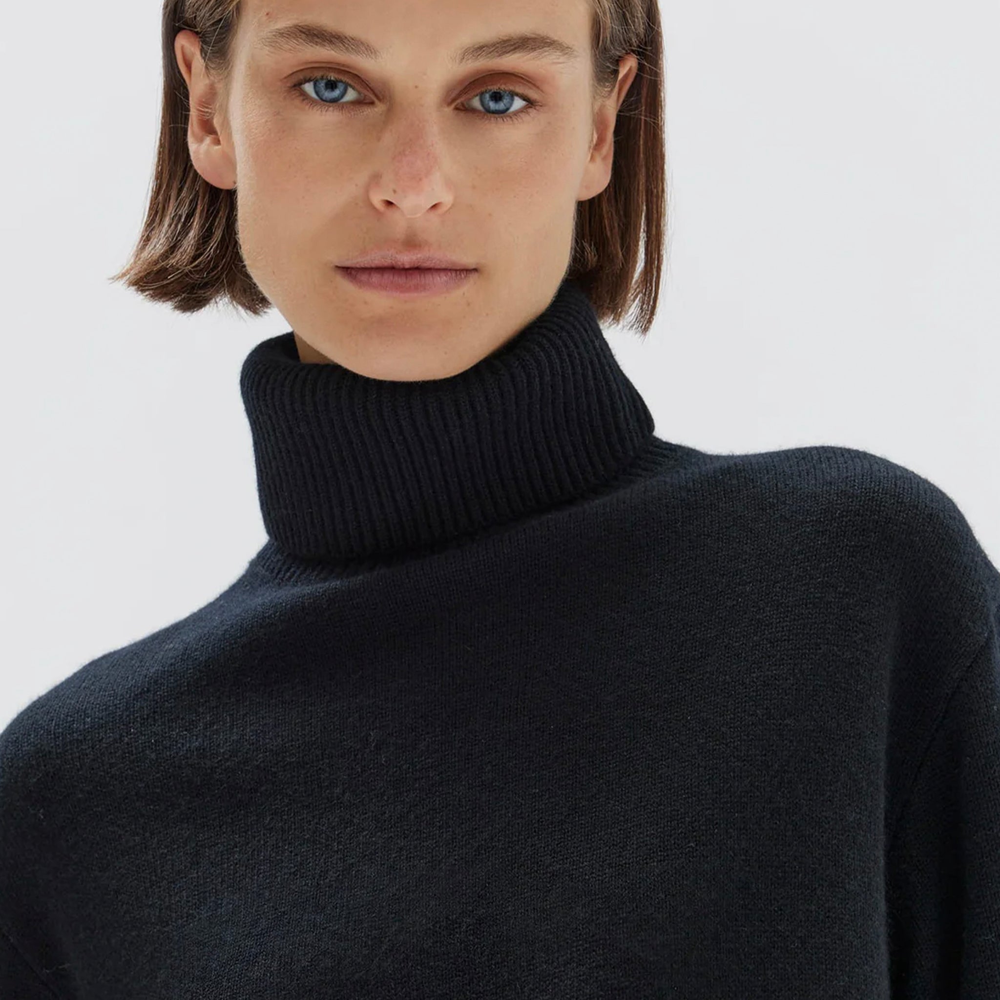 Assembly Label Leanna Wool Cashmere Roll Neck Knit - Black