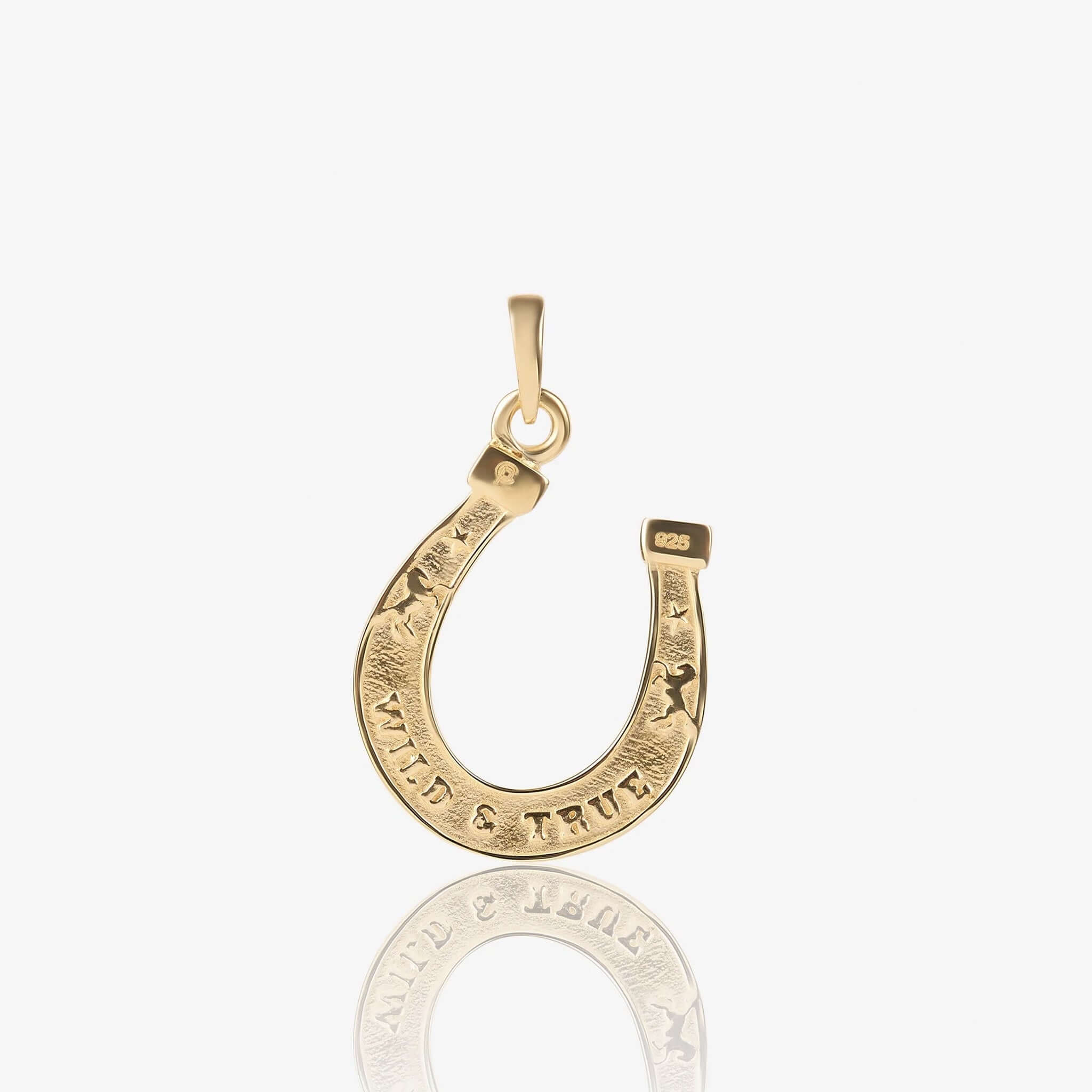 Alt Tag: Cathy Pope Wild & True Amulet - Gold Plated horseshoe pendant, double-sided talisman necklace charm with engraved details