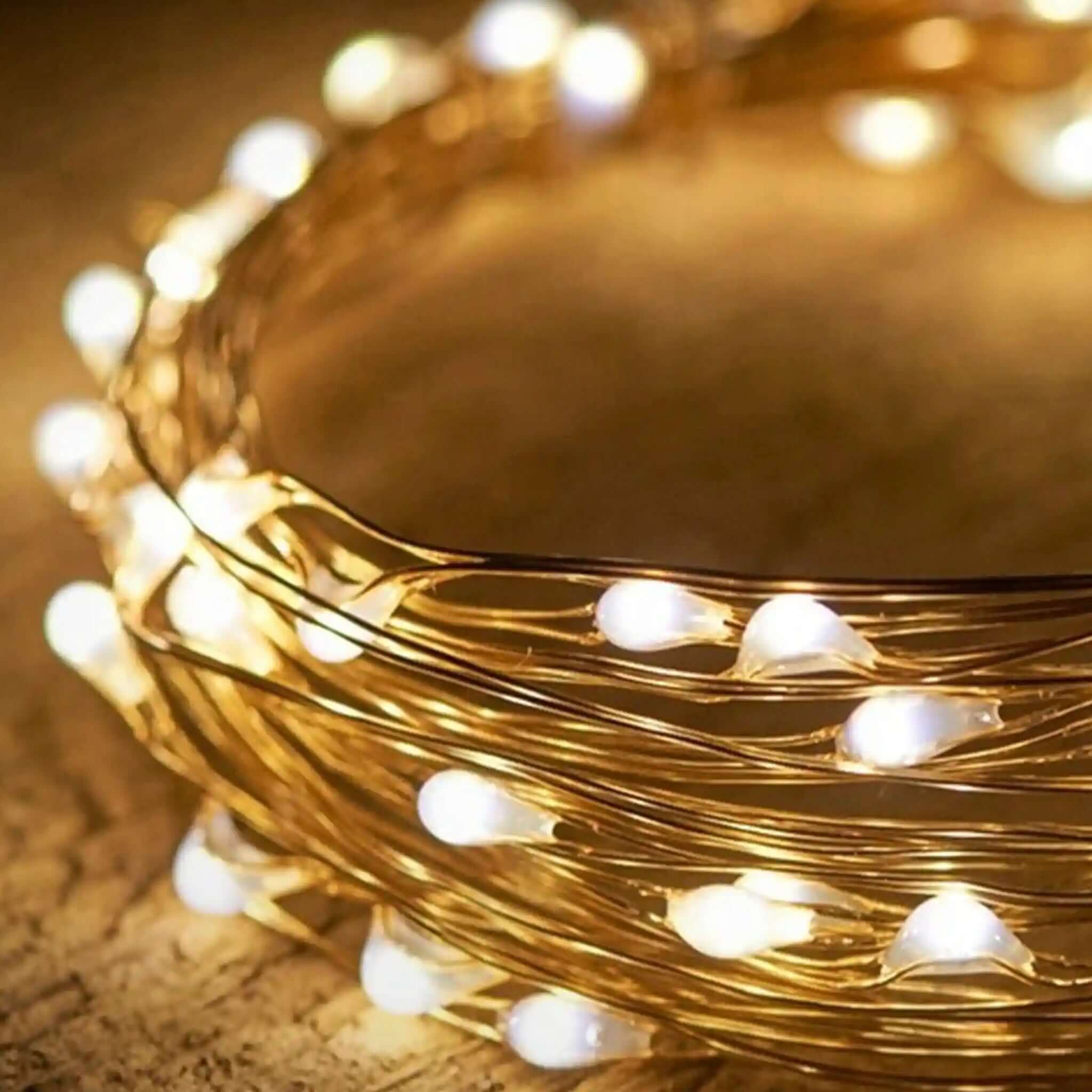 Alt Tag: Charge & Go Seed Lights - Copper 3m copper wire string lights with 30 warm white LEDs, USB rechargeable, adjustable brightness