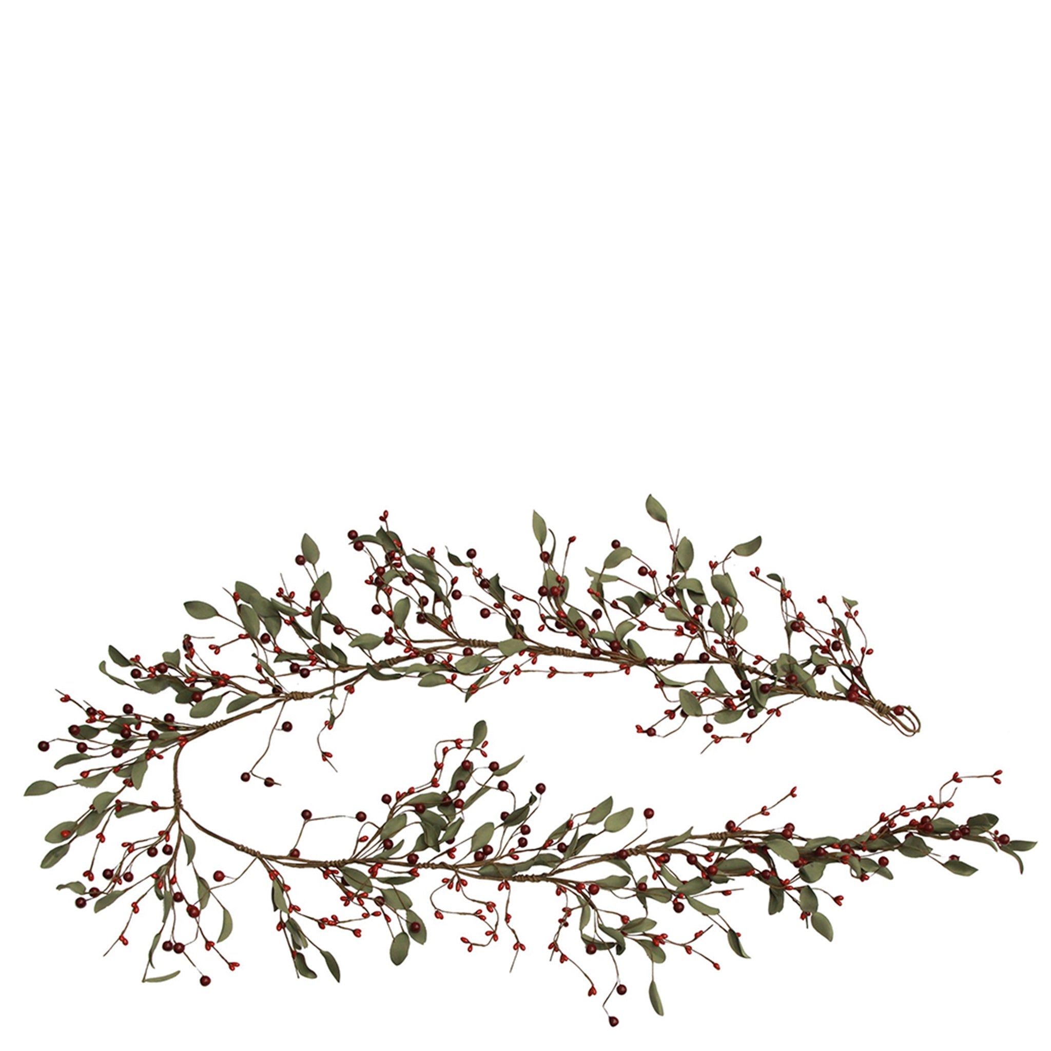Decorative branch with green leaves and red berries on a white background