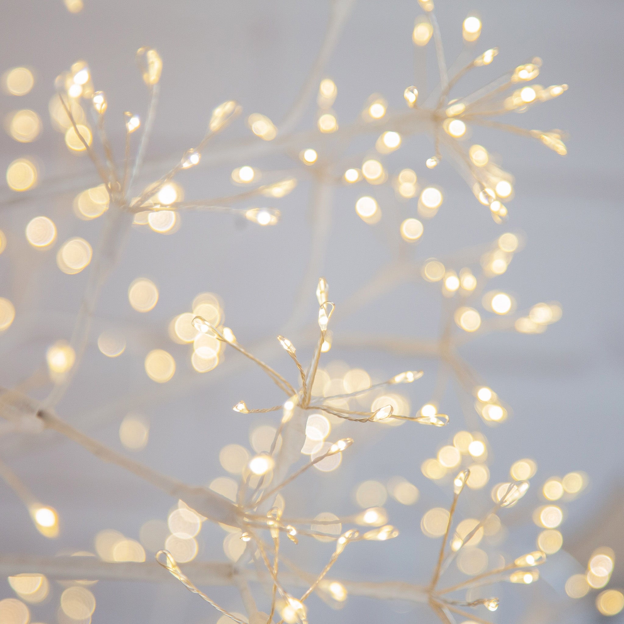 String lights on branches against a light gray background