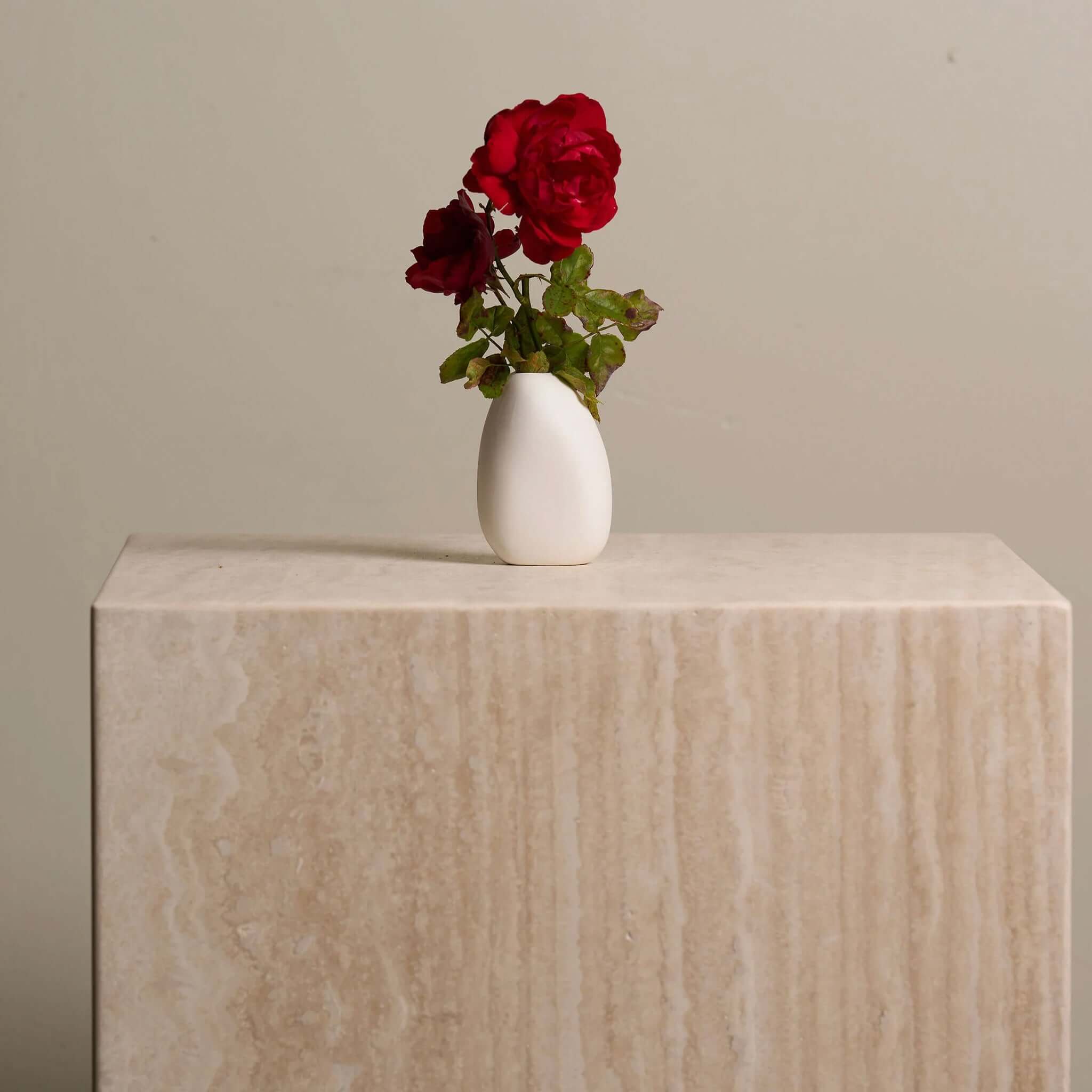 Harmie Ceramic Pipi Vase - White with red roses displayed on a marble table.