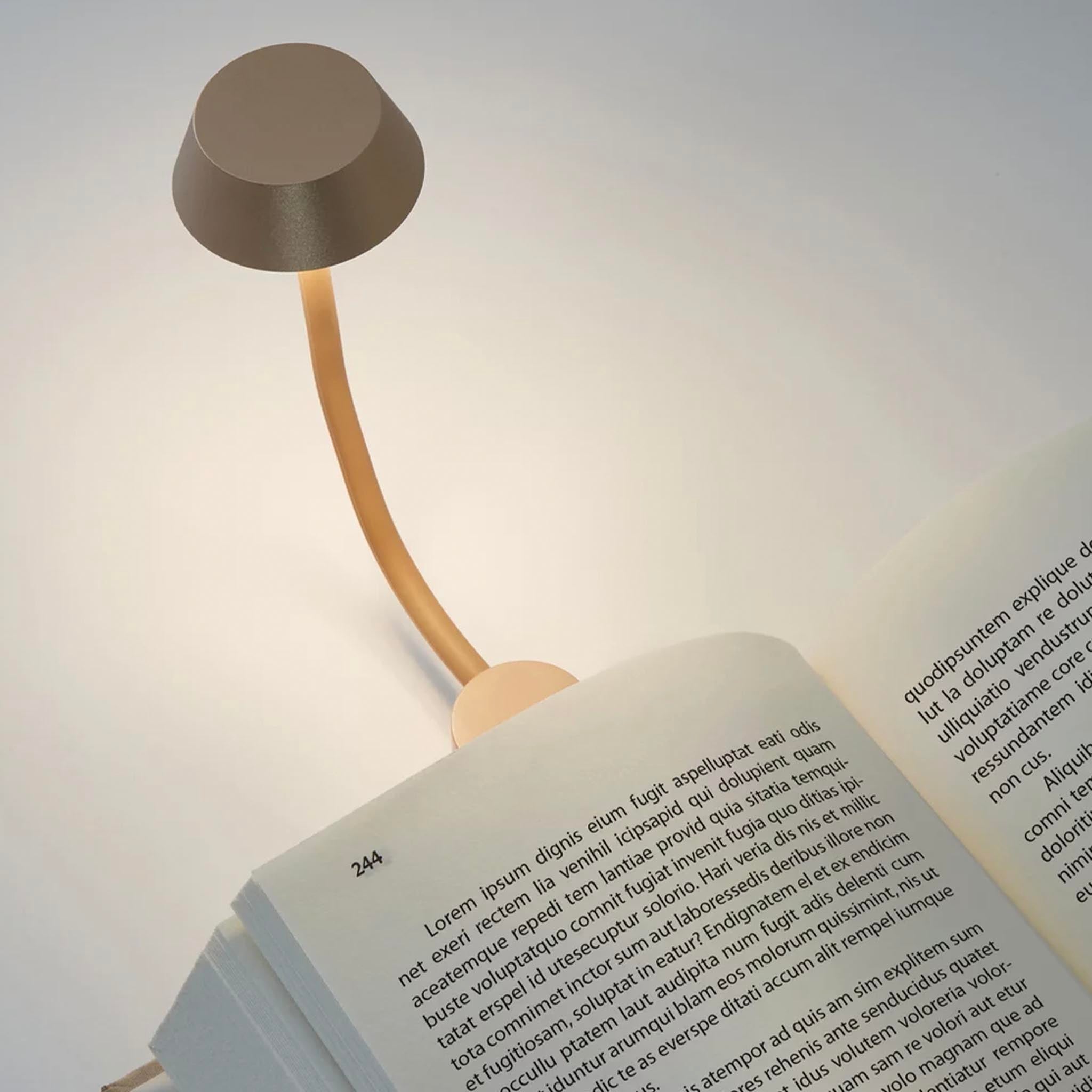 Reading lamp with flexible neck on an open book