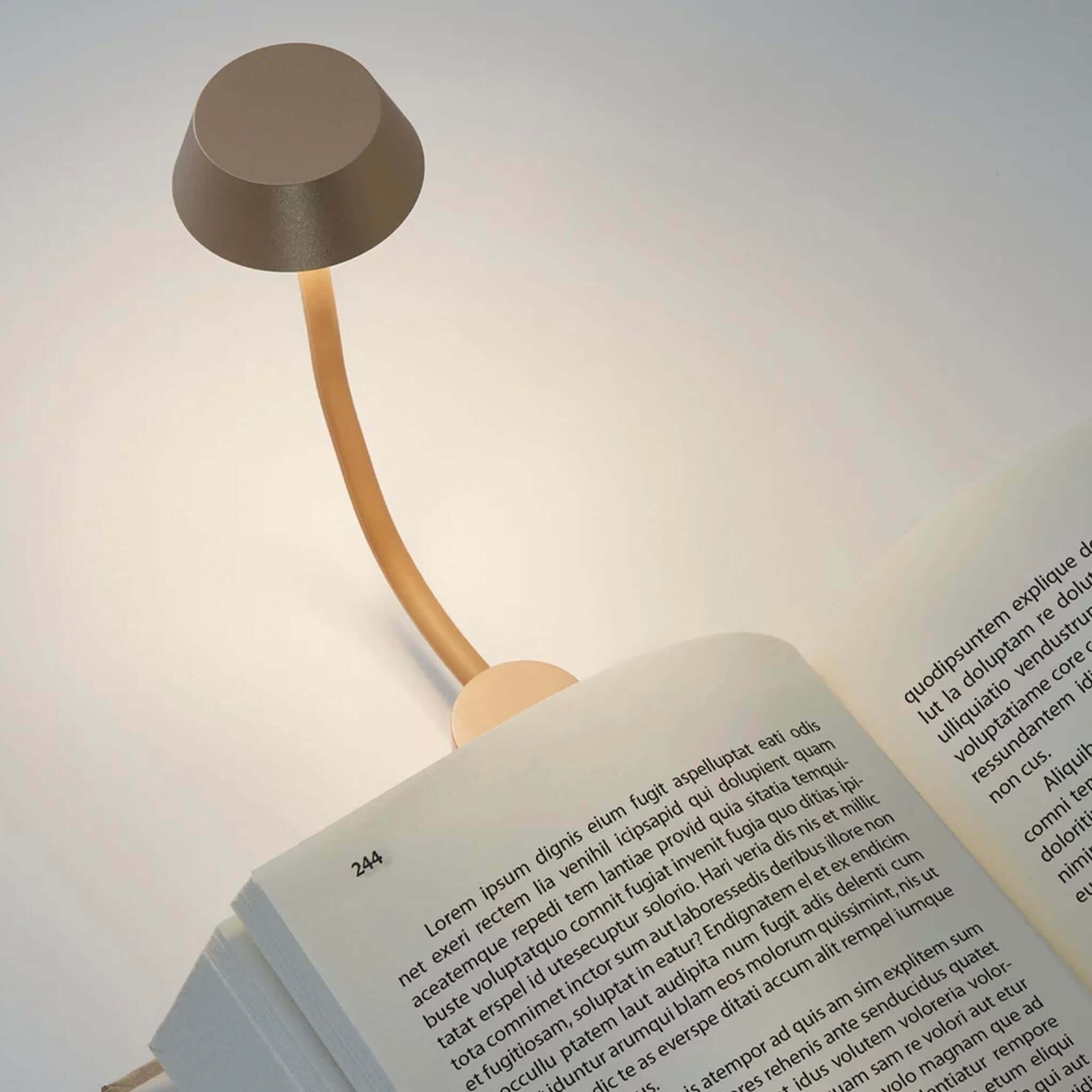 Reading lamp with flexible neck on an open book