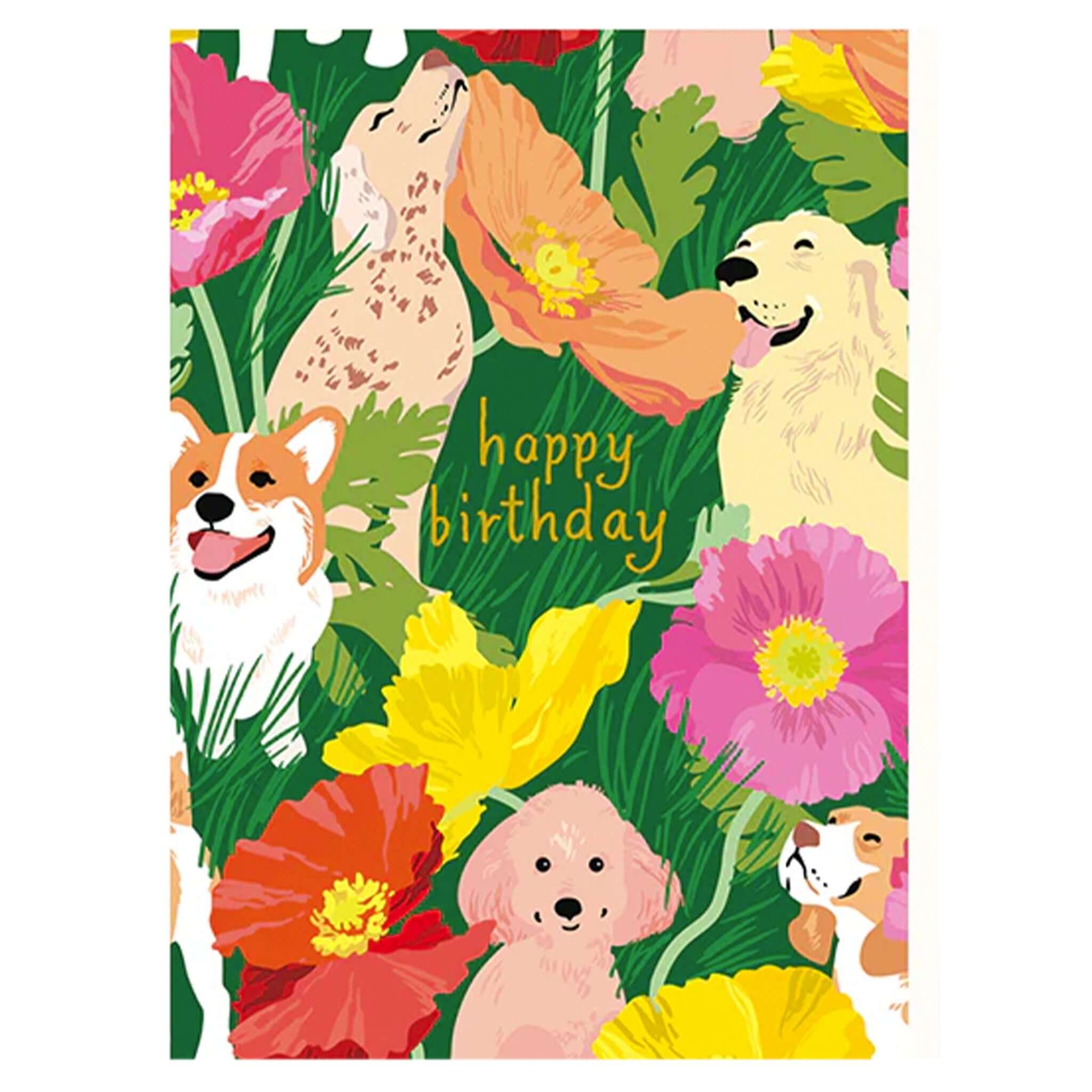 alt_tag: Noi Publishing Card - Dogs and Poppies Birthday featuring happy dogs and colorful poppies.