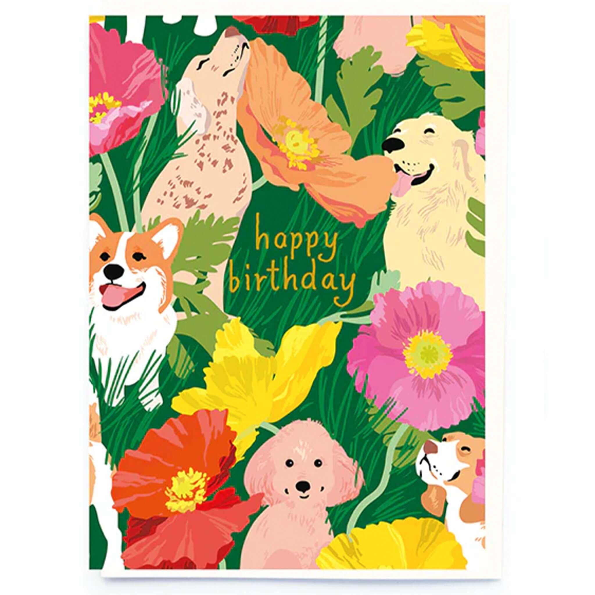 Noi Publishing Card - Dogs and Poppies Birthday featuring cheerful dogs and vibrant poppies, perfect for celebrations.