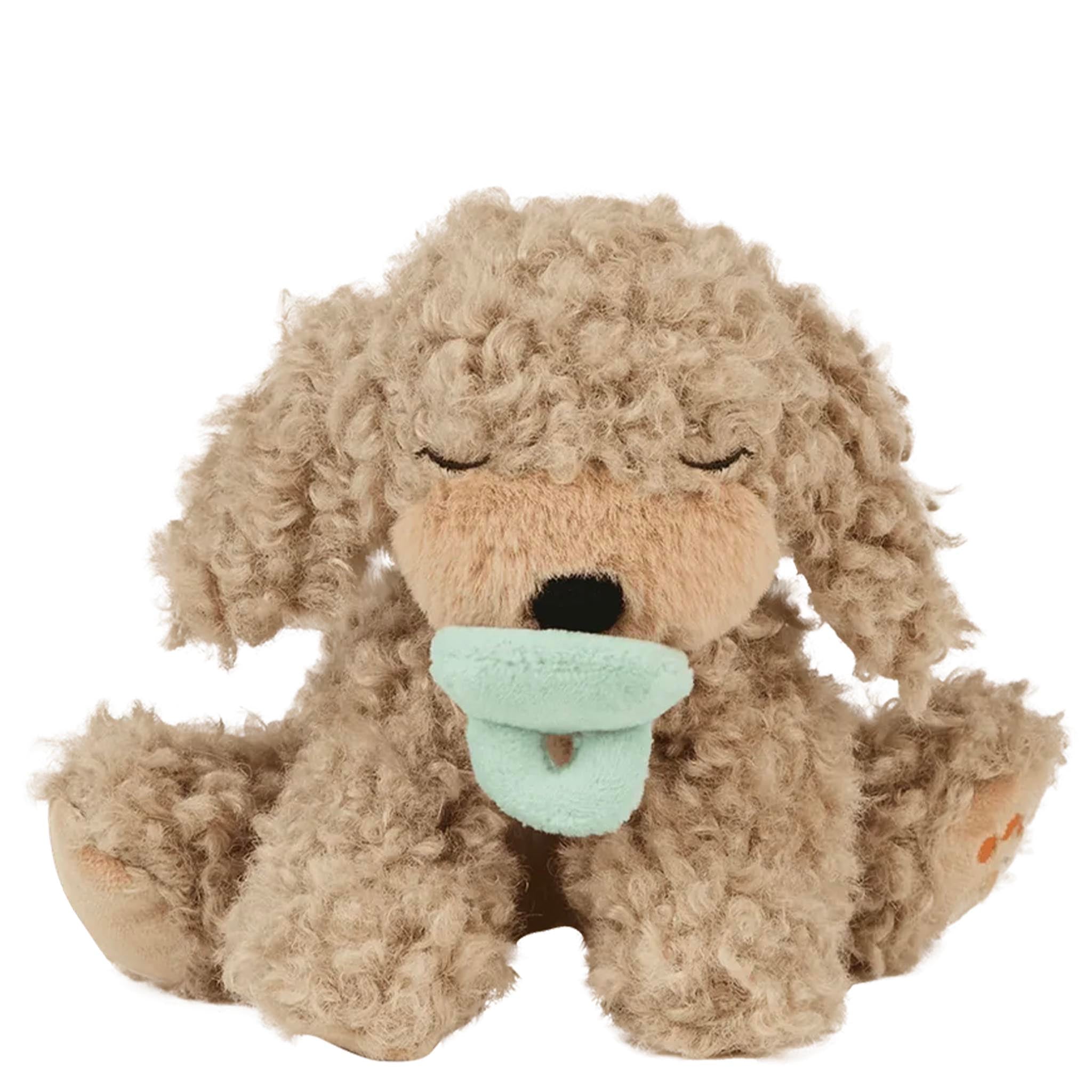 Plush dog toy with a pacifier on a white background