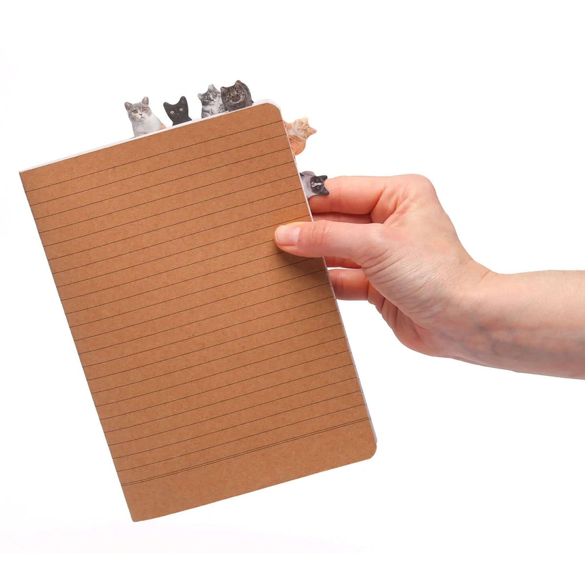 Pikkii Page Markers - Cat peeking from notebook, showcasing realistic cat portraits for bookmarks.