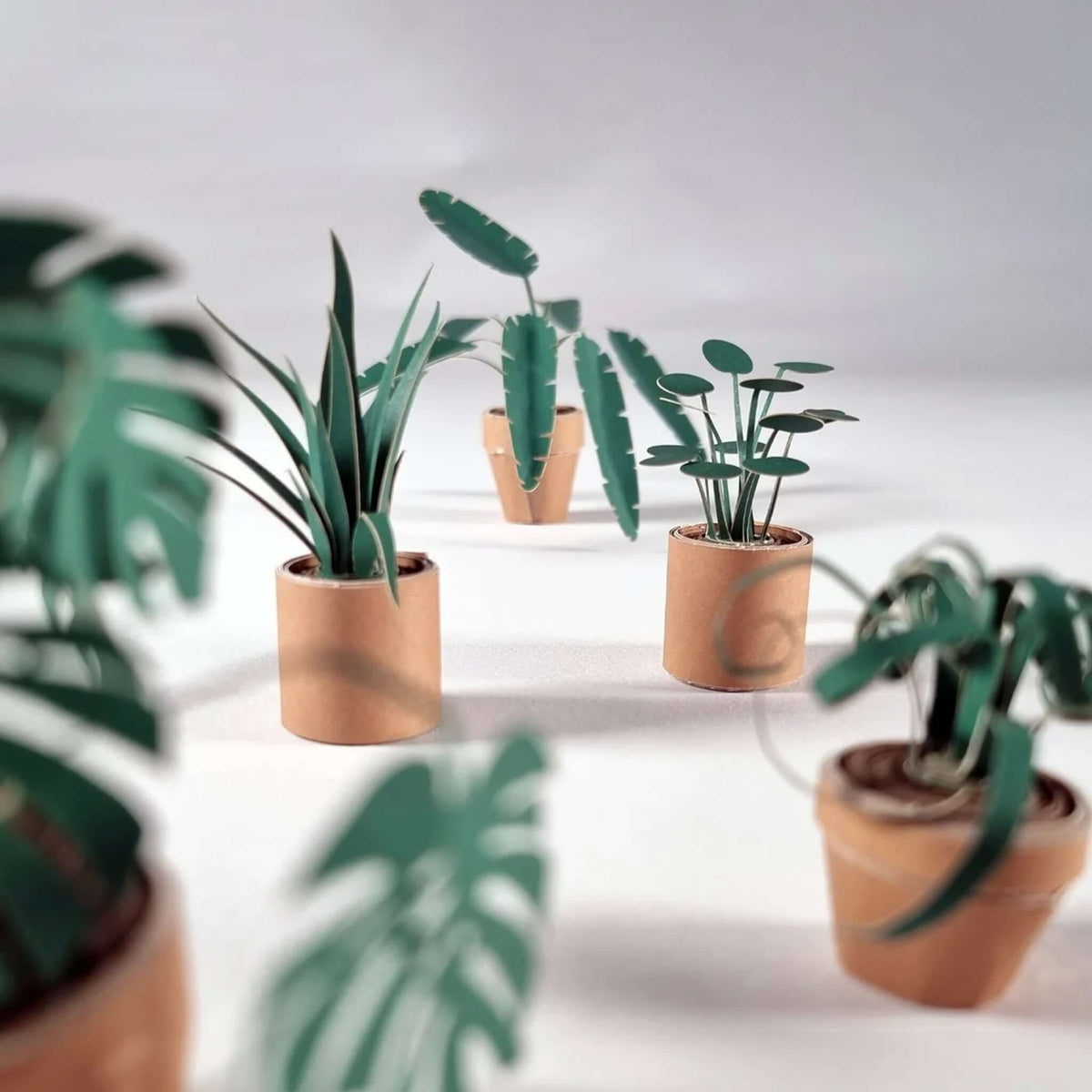 Pikkii Origami Paper Plants in terracotta-look pots, featuring five vibrant paper houseplants on a white background.