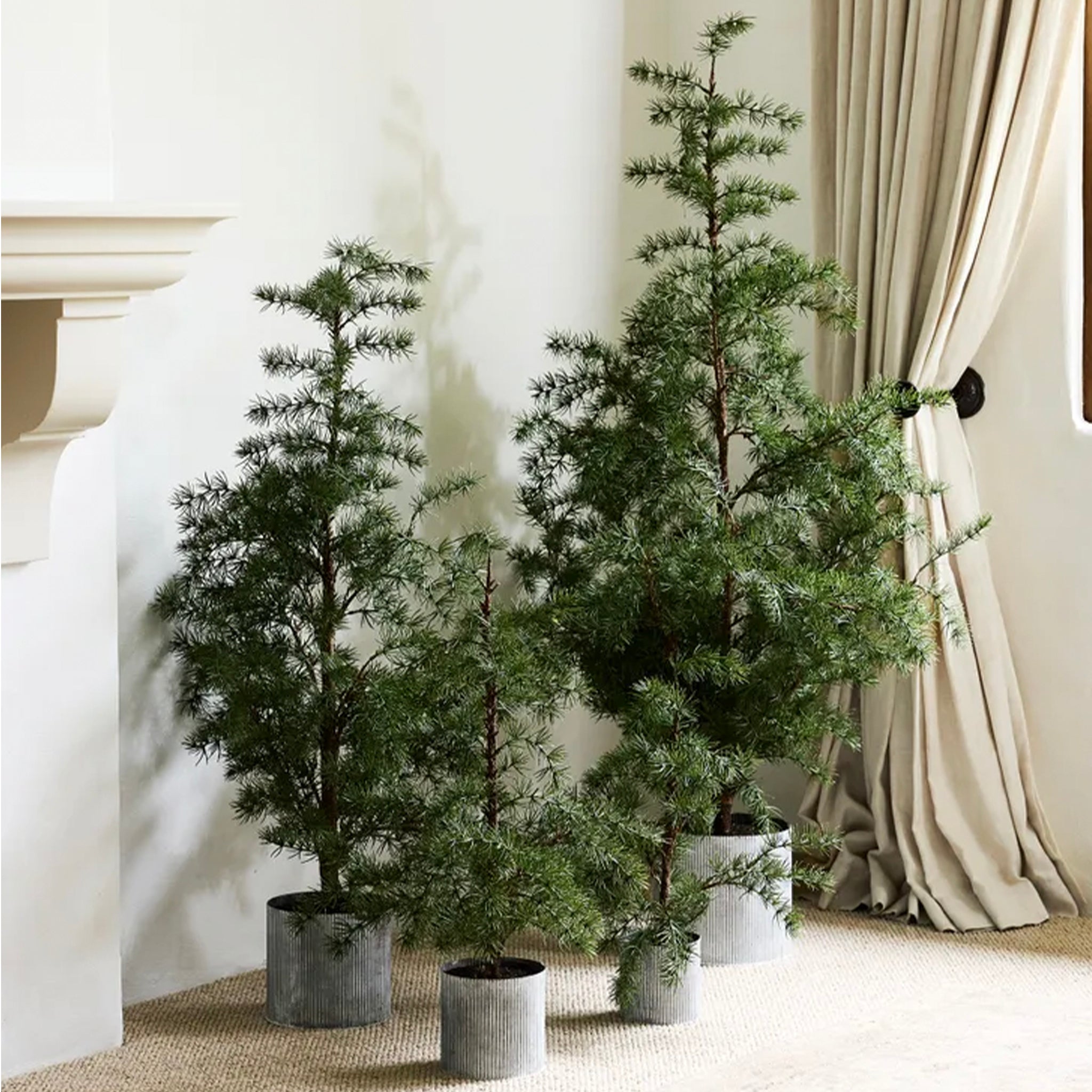 Potted artificial Fraser Fir Christmas trees with delicate needles and realistic branches, sitting in a galvanised zinc pots.