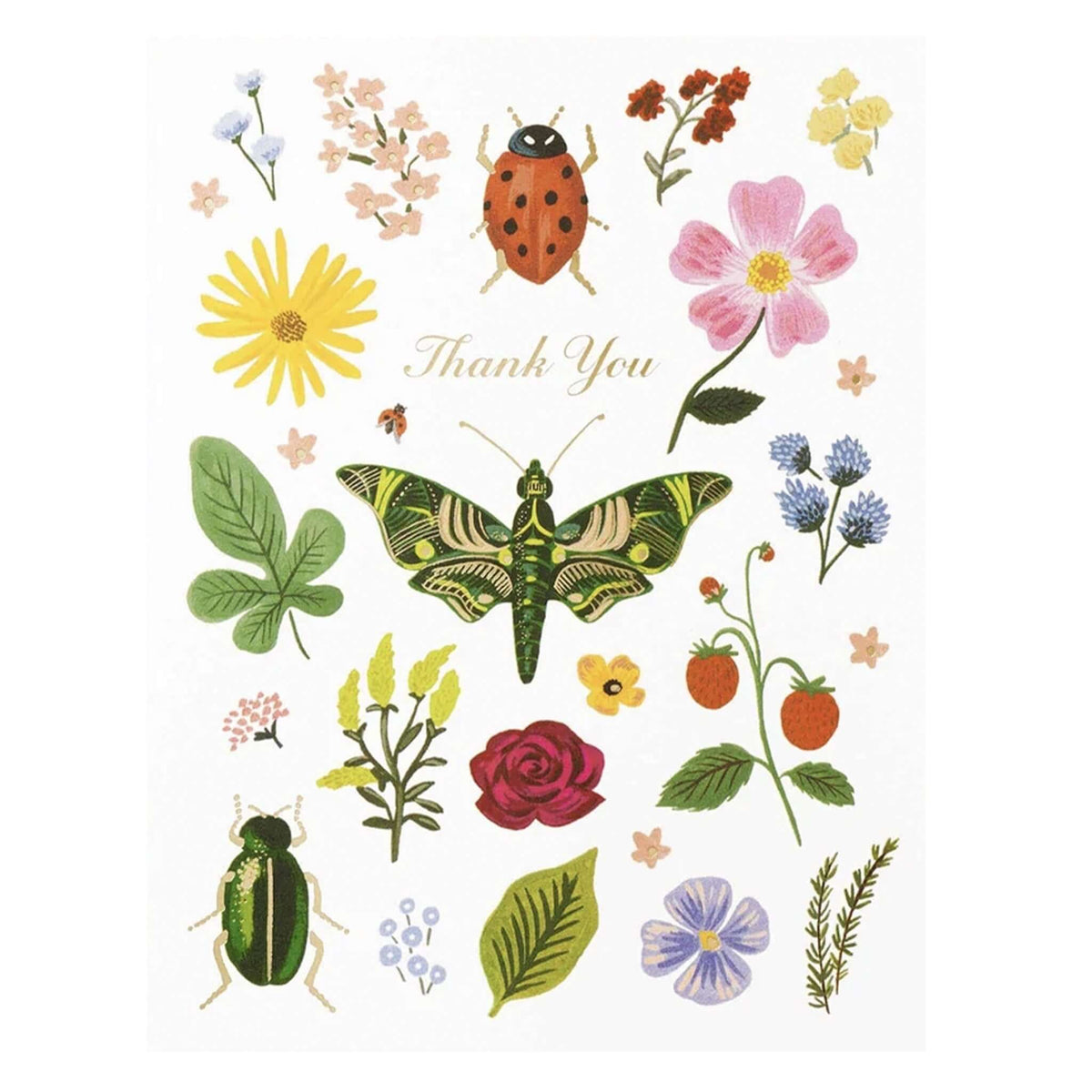 Rifle Paper Card - Curio Thank You featuring colorful floral and insect illustrations with a gold foil message.