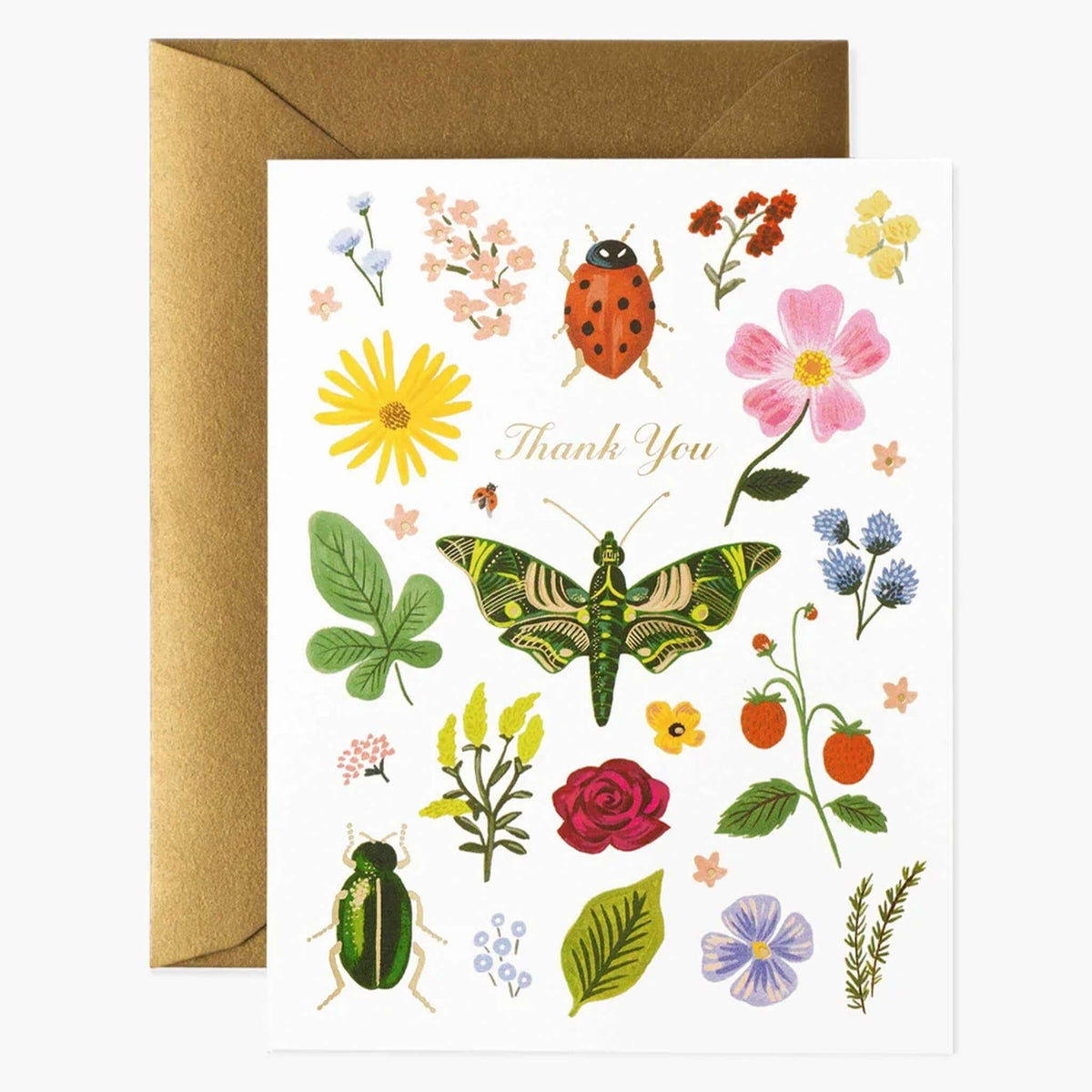 Rifle Paper Card - Curio Thank You with colorful illustrations of insects and flowers, featuring a gold foil 'Thank You'