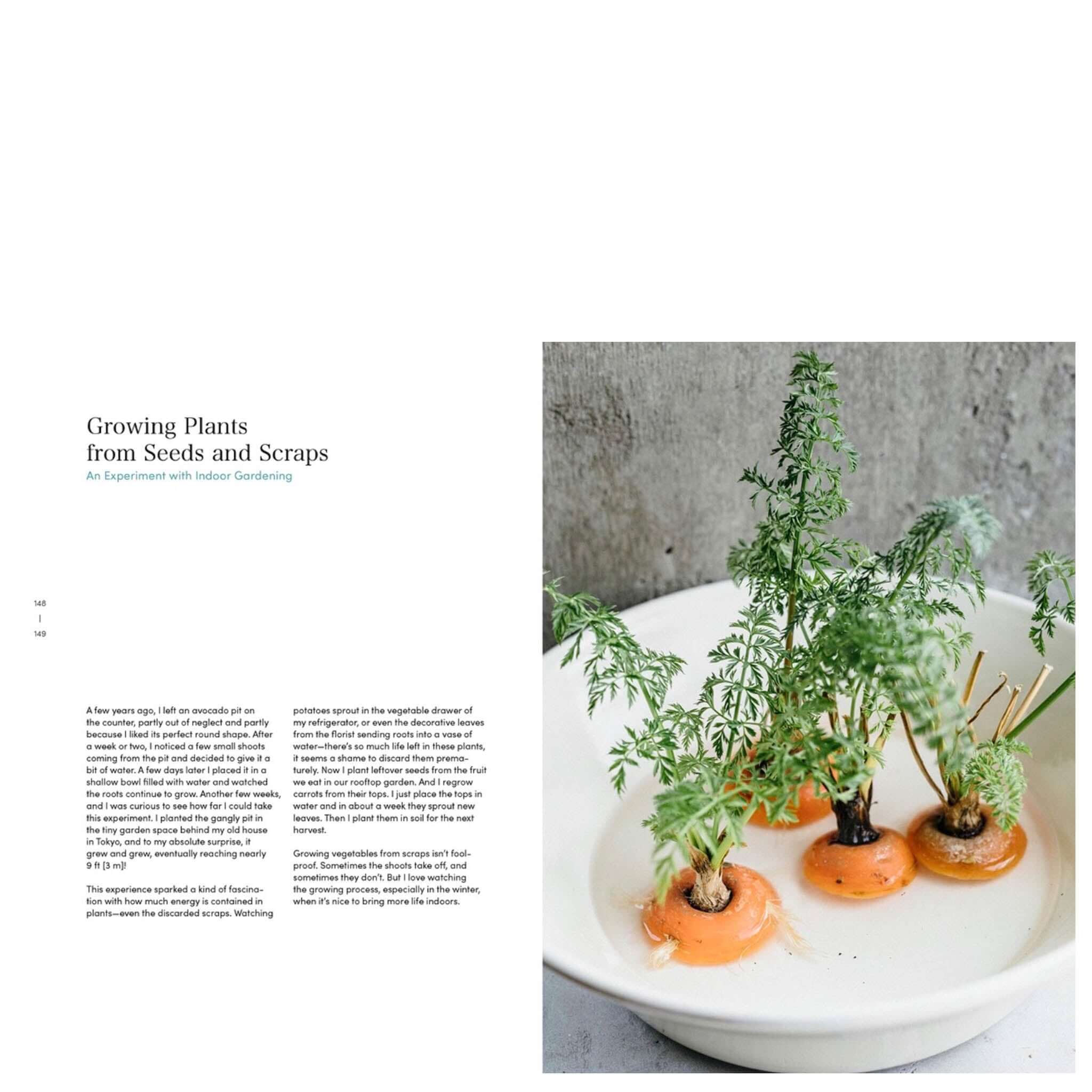 Simplicity at Home: Japanese Rituals, Recipes and Arrangements for Thoughtful Living book page with kitchen rituals and simple home gardening