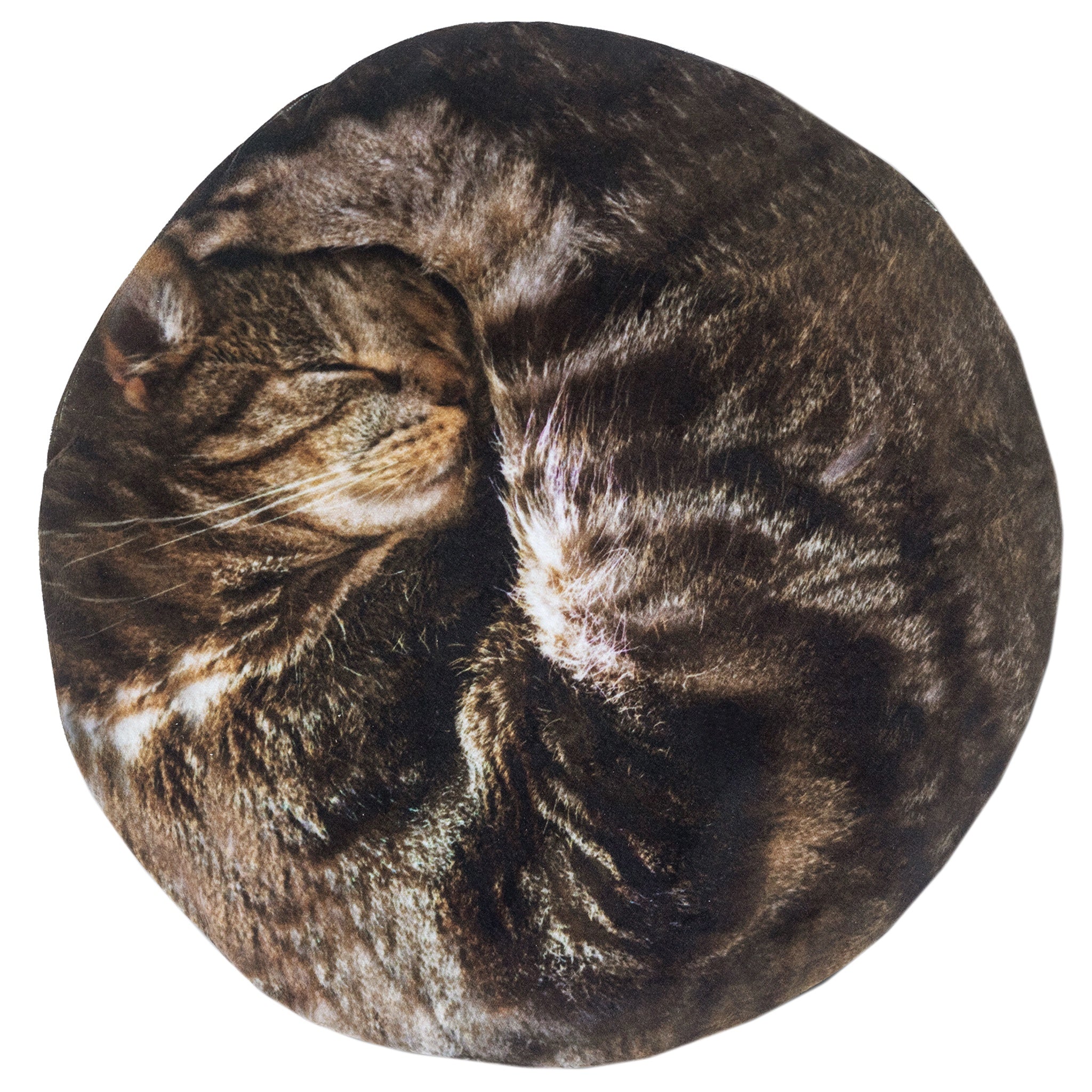 Cosy cat hot water bottle