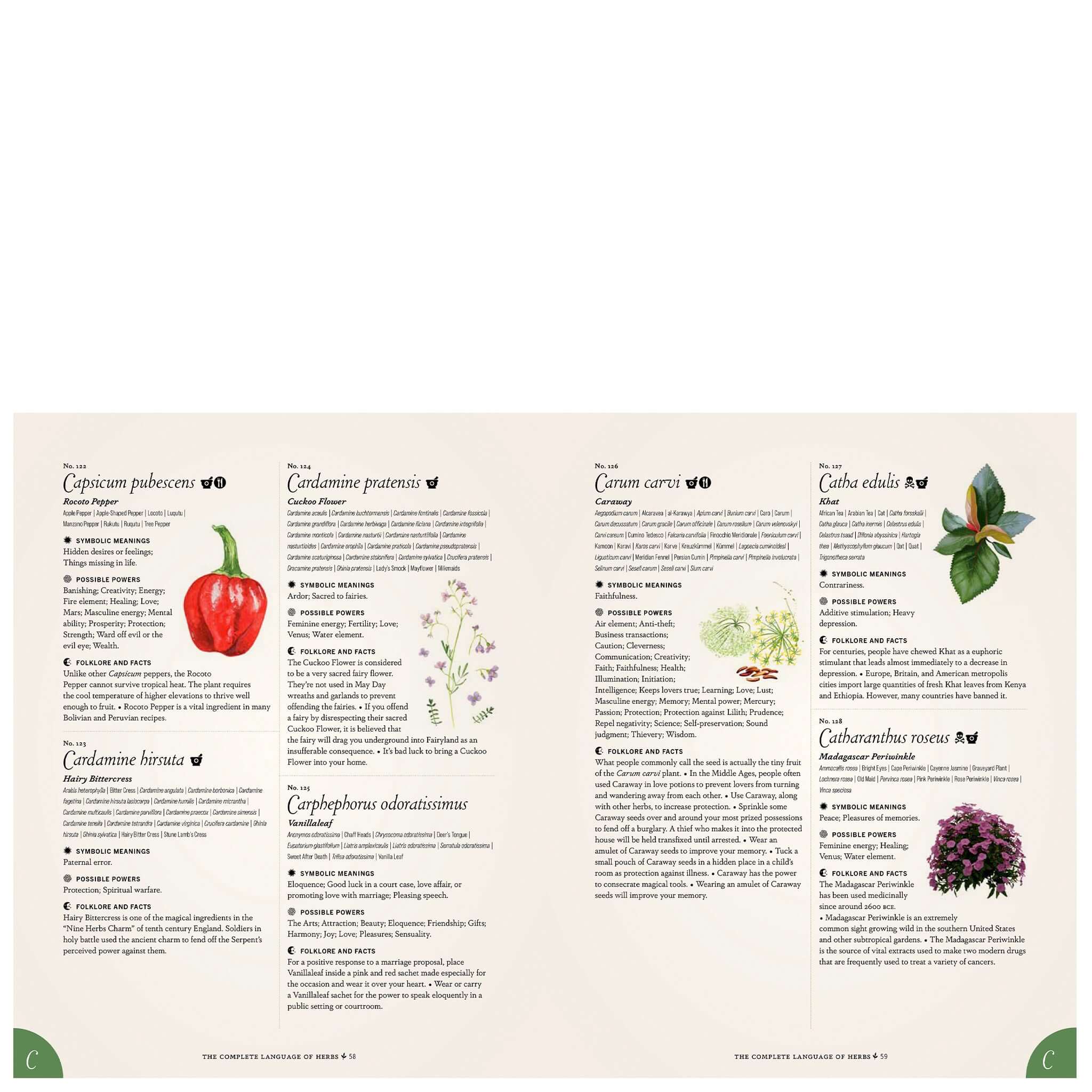 The Complete Language of Herbs: A Definitive & Illustrated History pocket-size herb and spice reference book spread with illustrated entries
