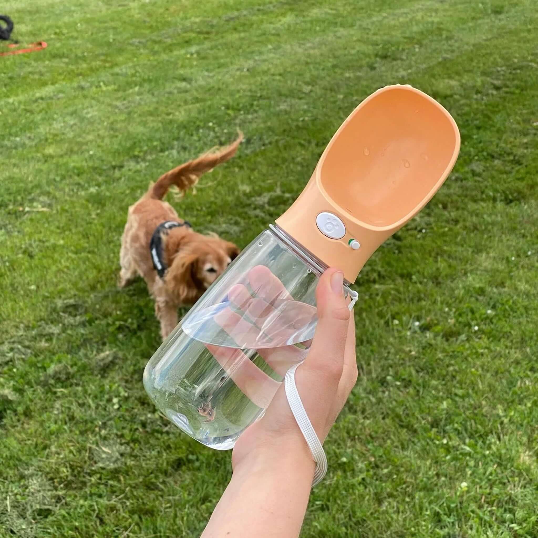 Hand holding a pet water bottle with a dog in the background on grass