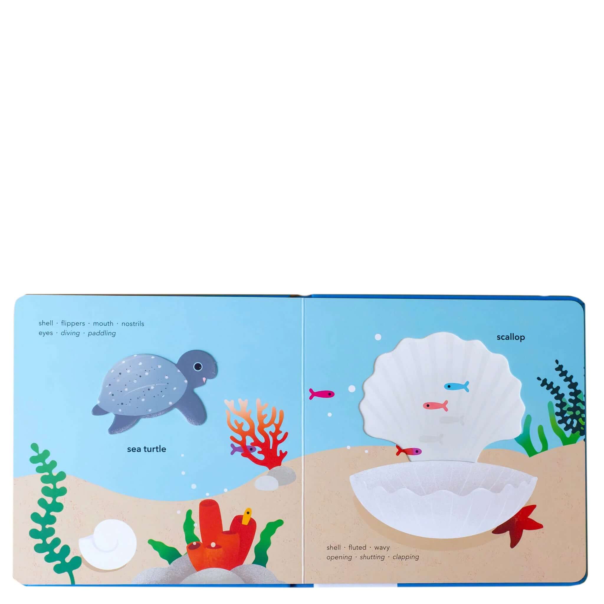 Touch Think Learn: Underwater touch book page featuring a sea turtle and scallop in an ocean scene.
