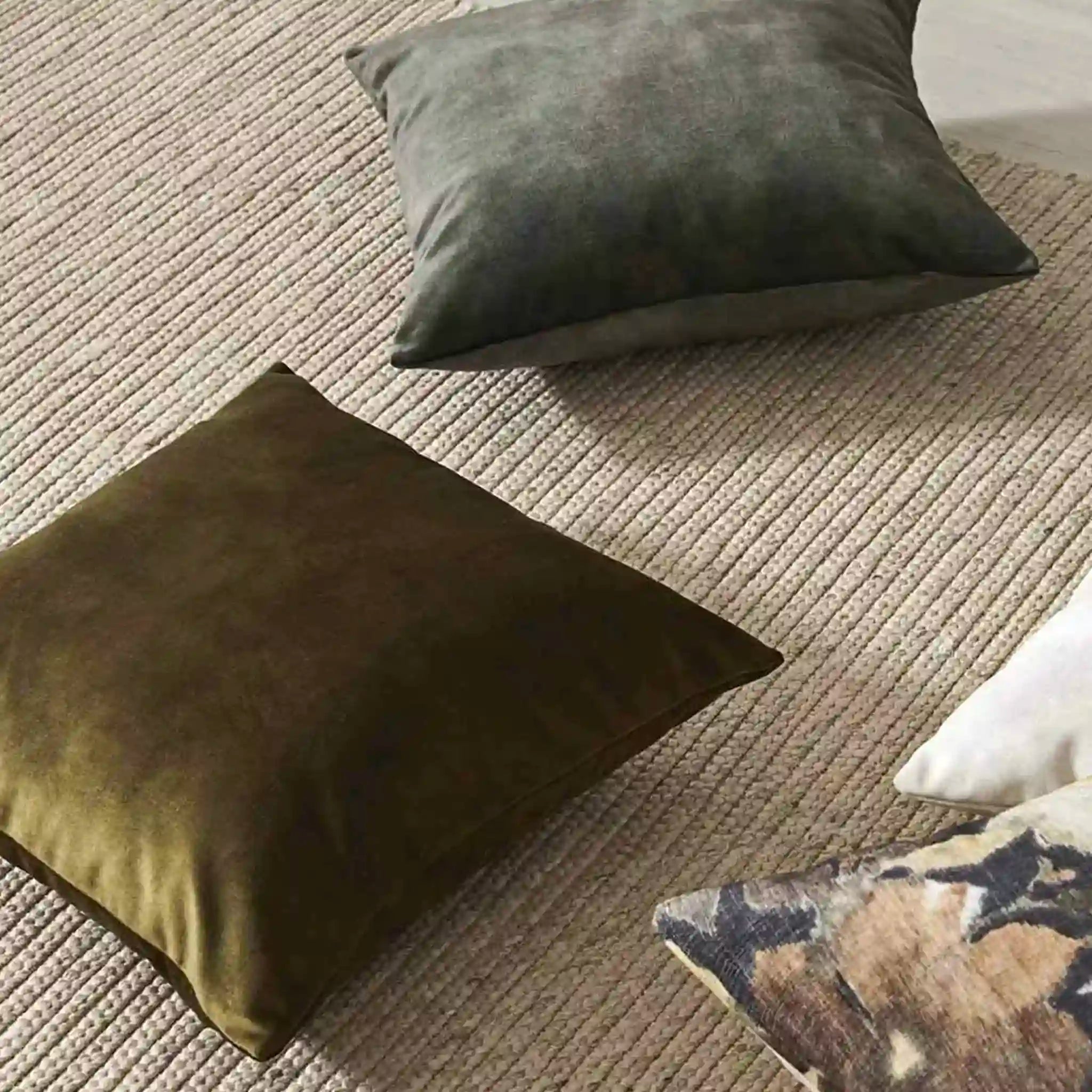 Two brown cushions on a textured beige carpet
