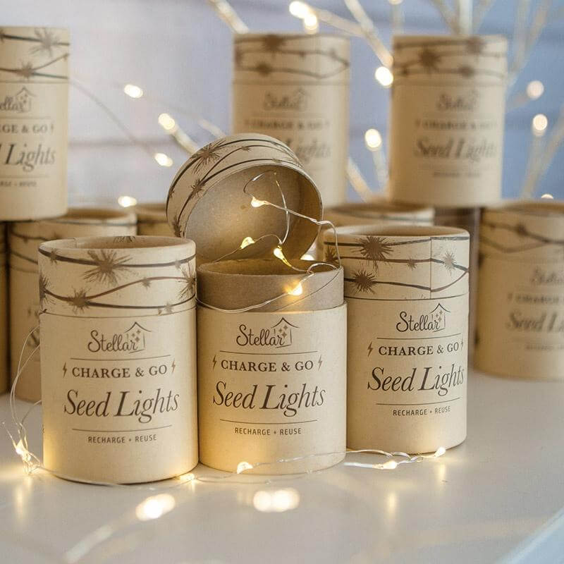 Alt Tag: Charge & Go Seed Lights - Silver warm white USB rechargeable 3m string lights in silver wire with gift tins, table centre