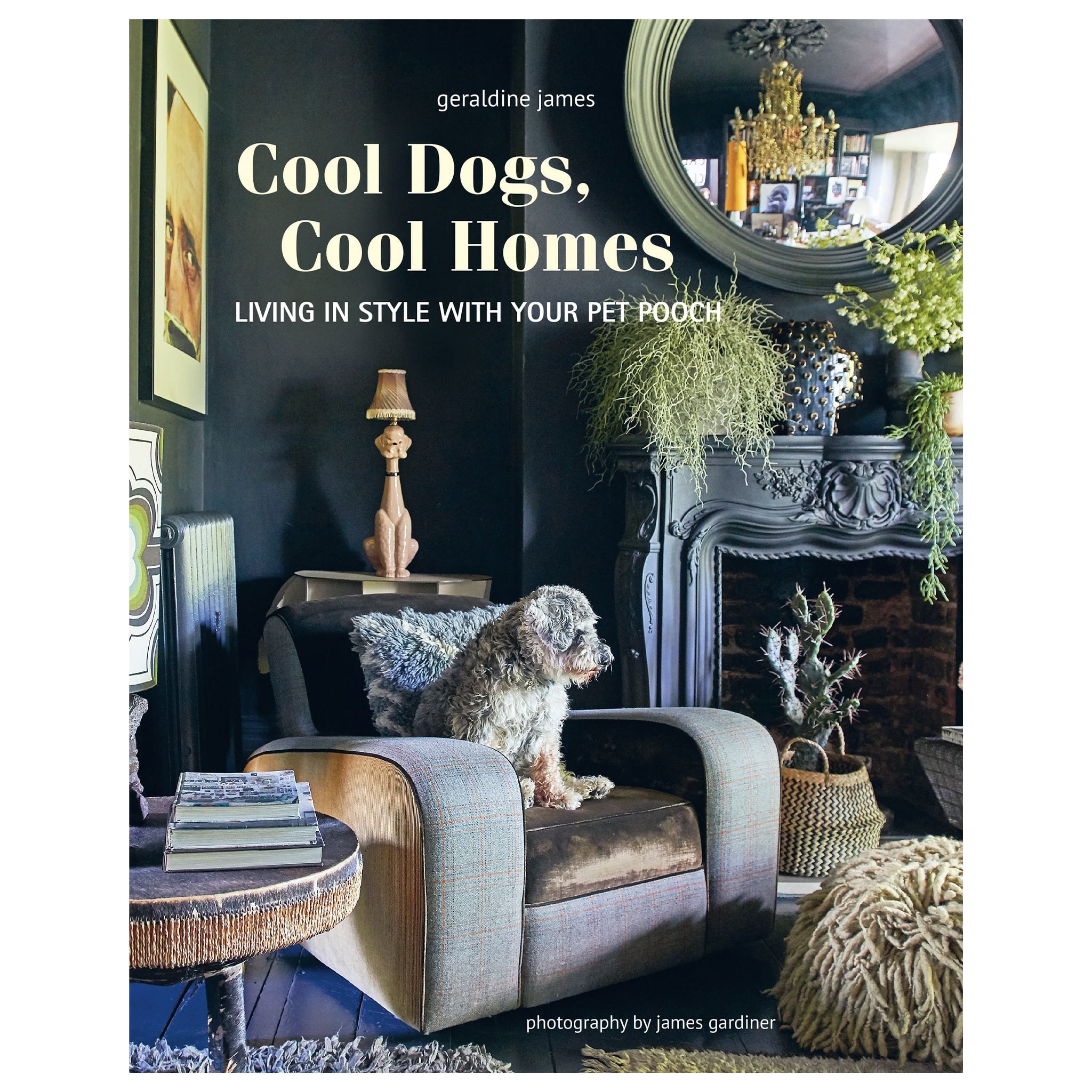 Cool Dogs, Cool Homes - Tea Pea Home