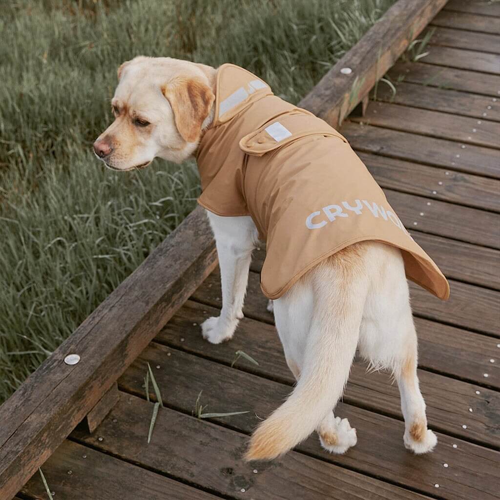 Alt Tag: Crywolf Ruff Dog Jacket - Tan on dog, waterproof hi-vis reflective coat with fleece lining and adjustable belly strap