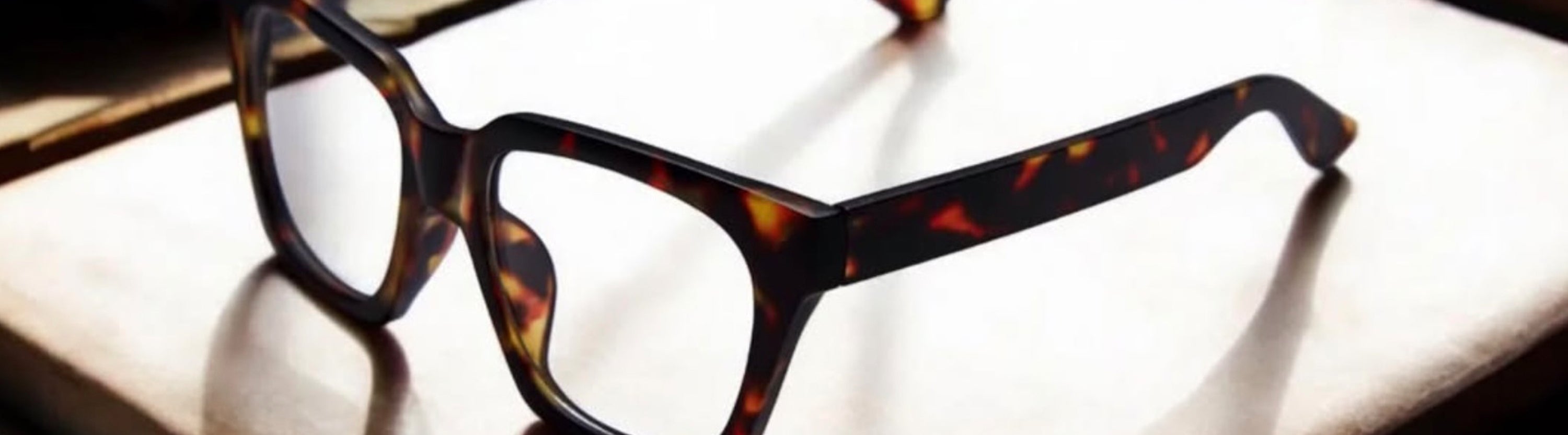 Daily Eyewear