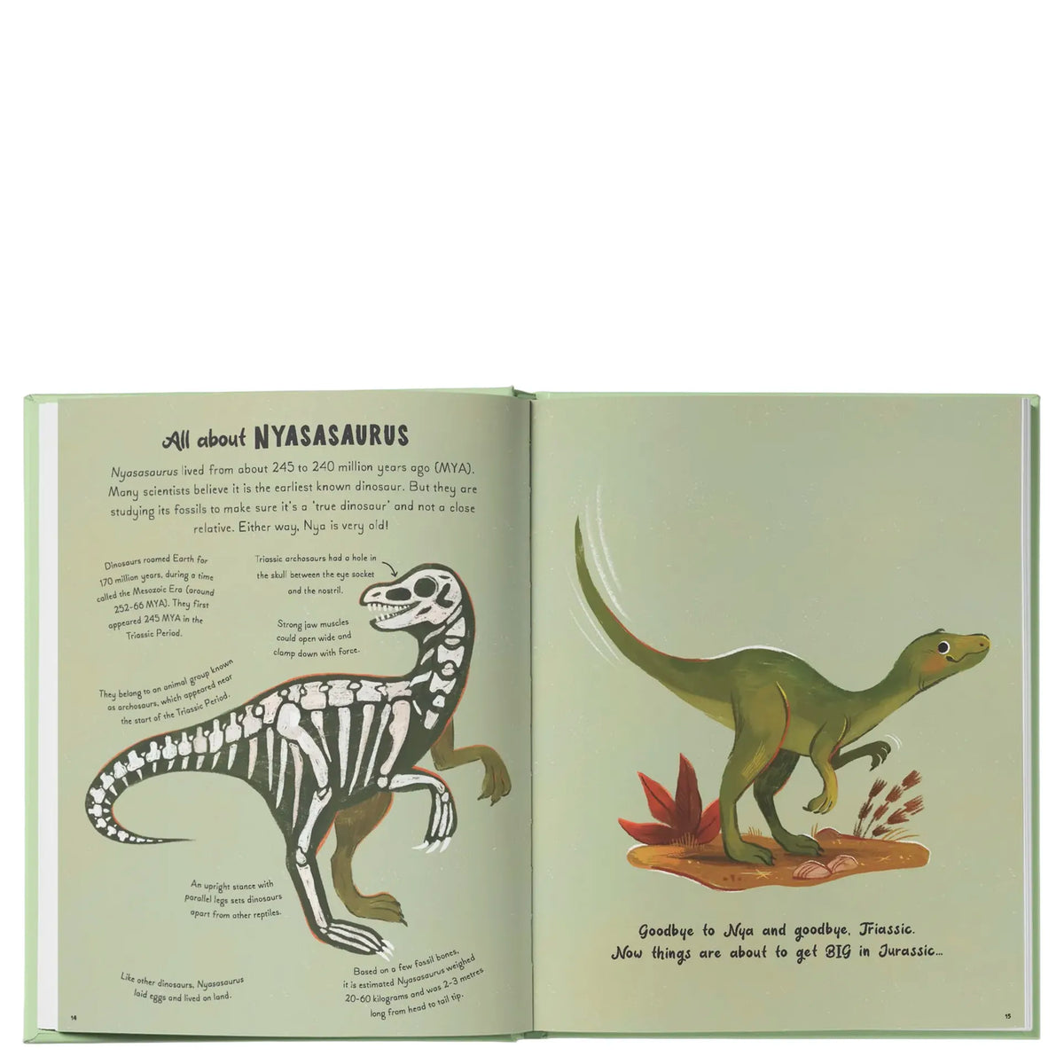 Open fact pages of 5 Minute Dinosaur Stories about Nyasasaurus with skeleton and dinosaur illustrations
