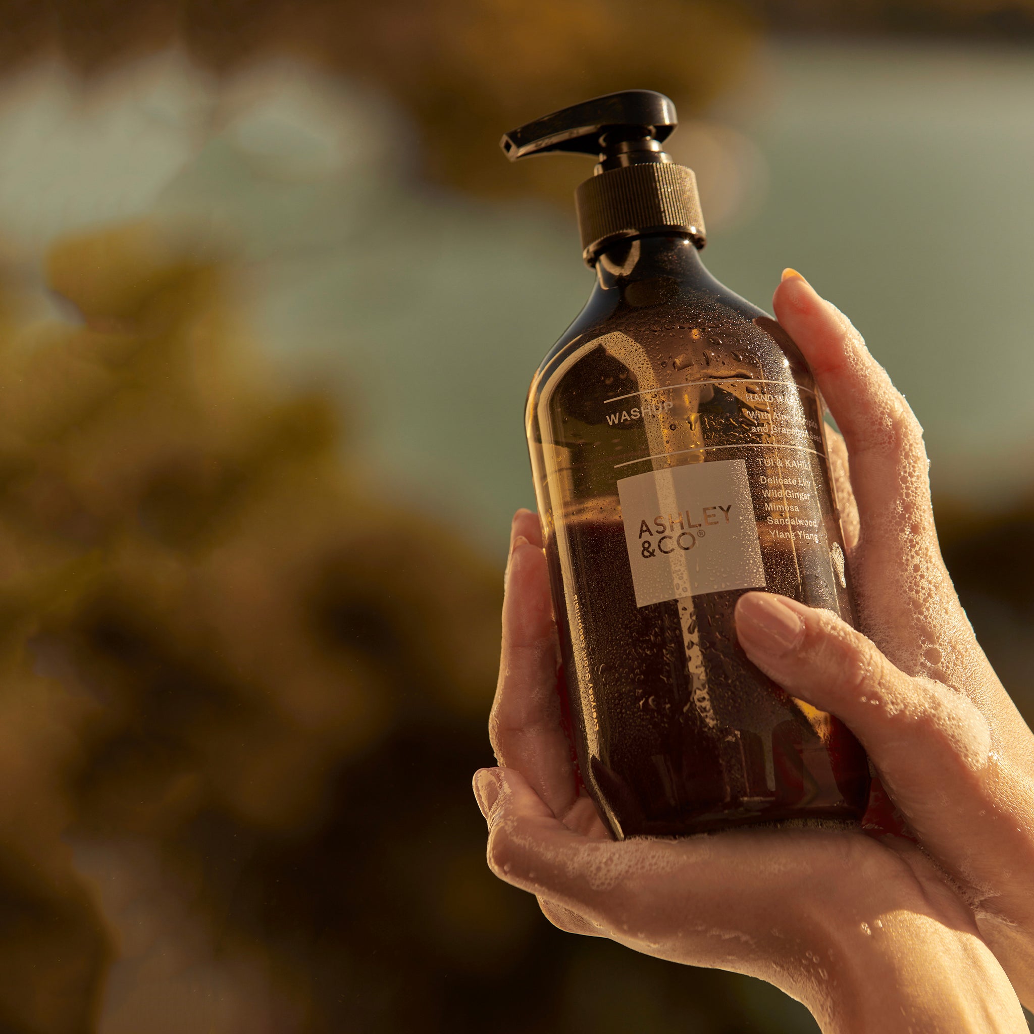 Alt Tag: Ashley & Co WashUp Hand Wash aromatic botanical hand wash pump bottle held in hands, pH balanced soap-free with aloe