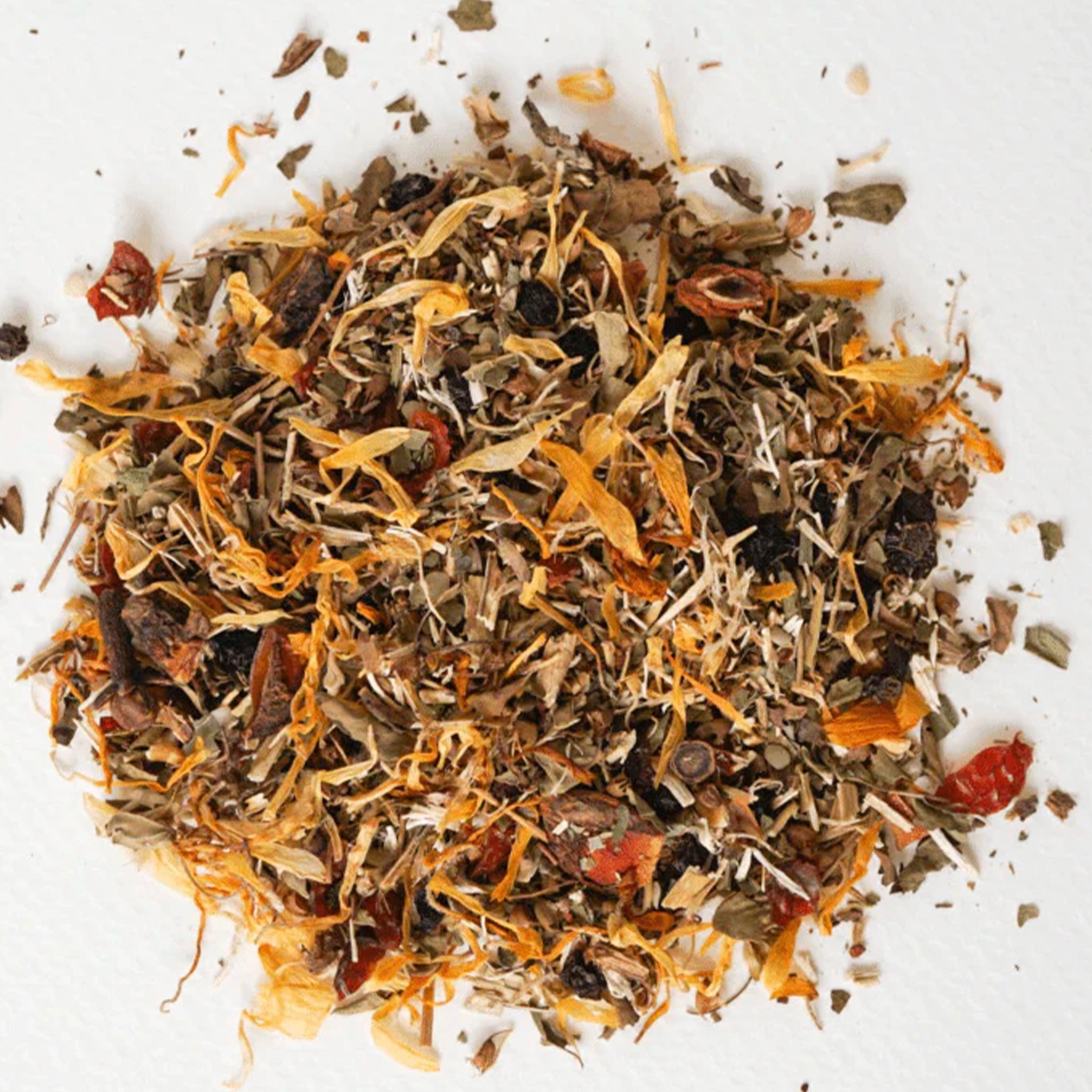 Dry herbs and spices on a white background