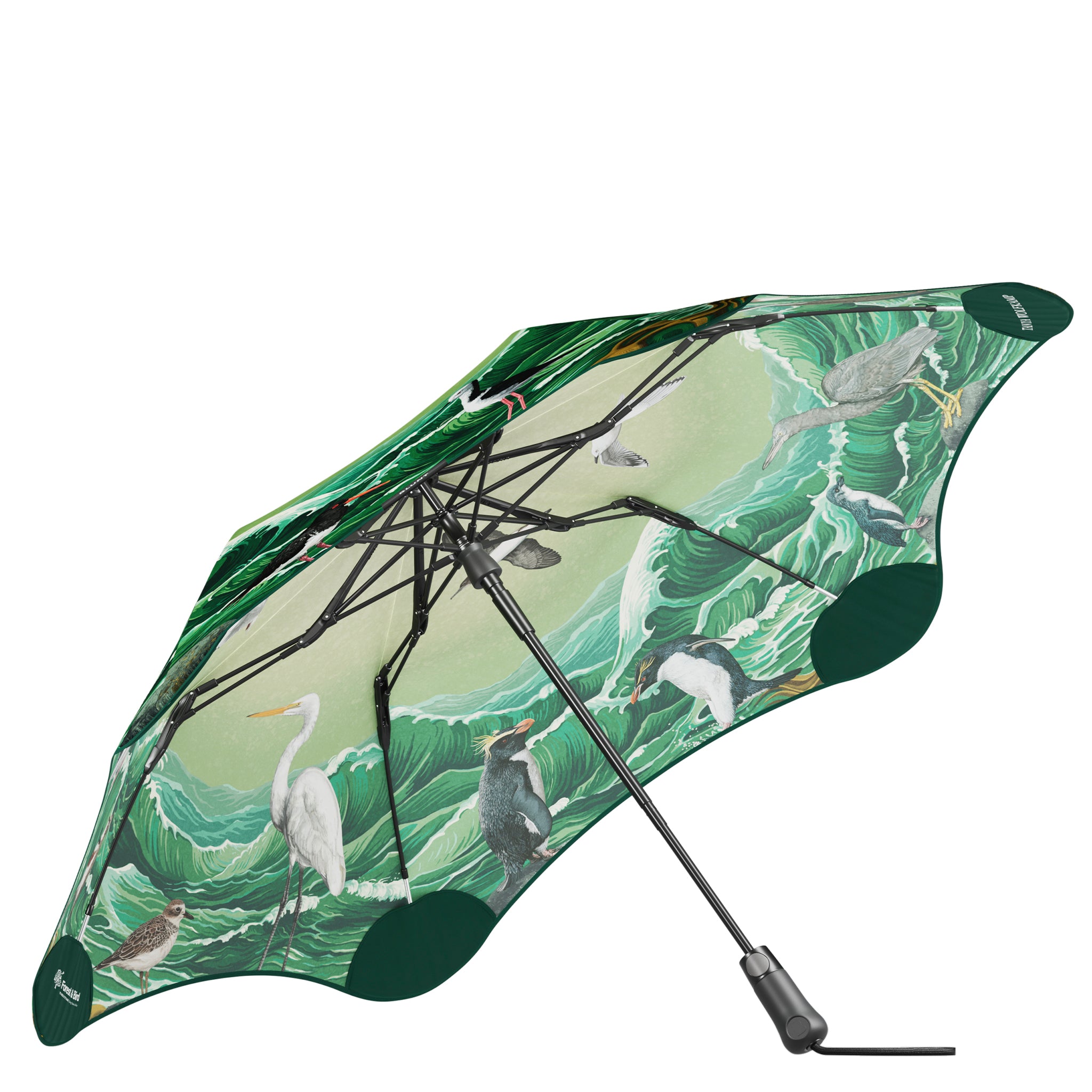 Green umbrella with bird and leaf pattern on a white background