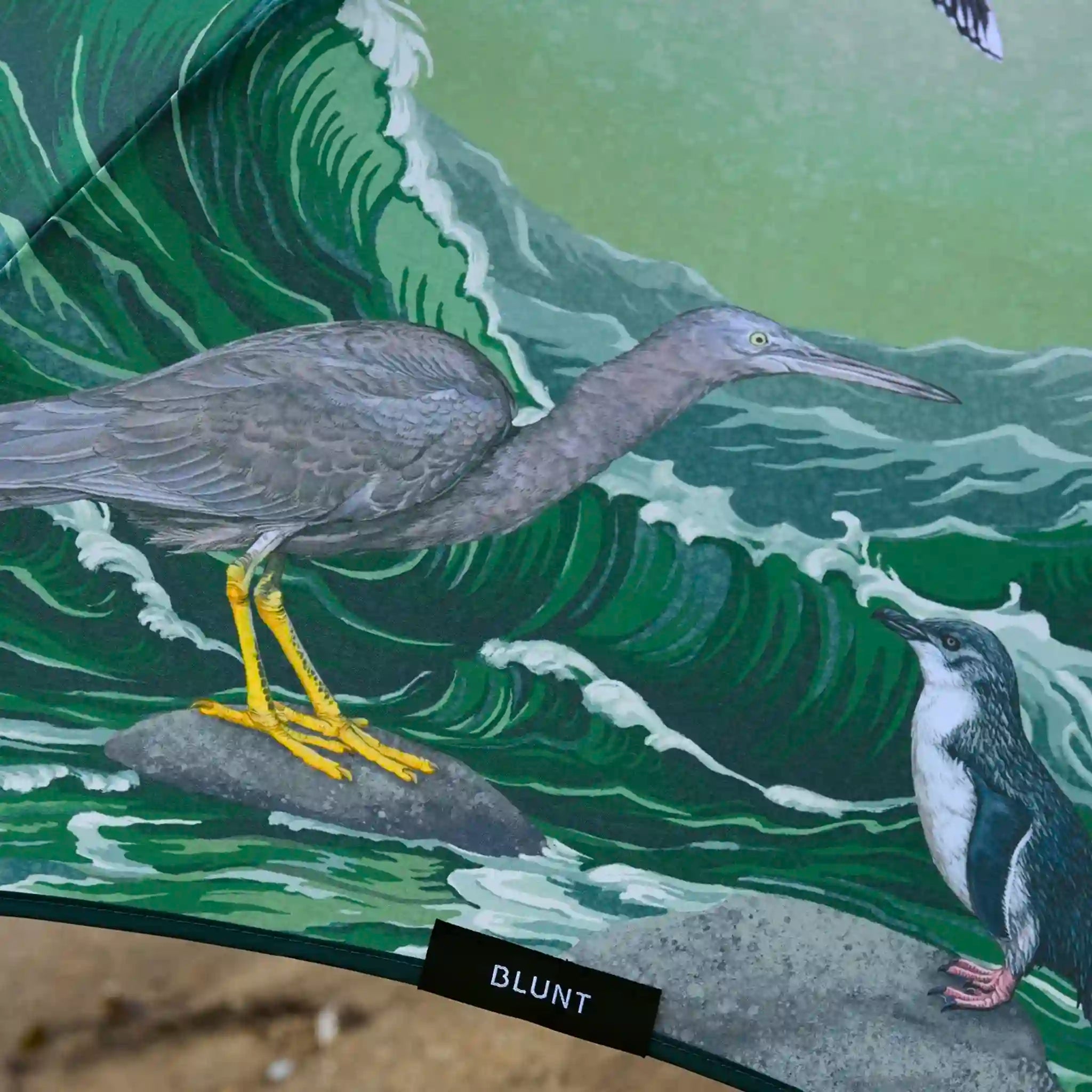 Illustration of a bird on a wave with a green background