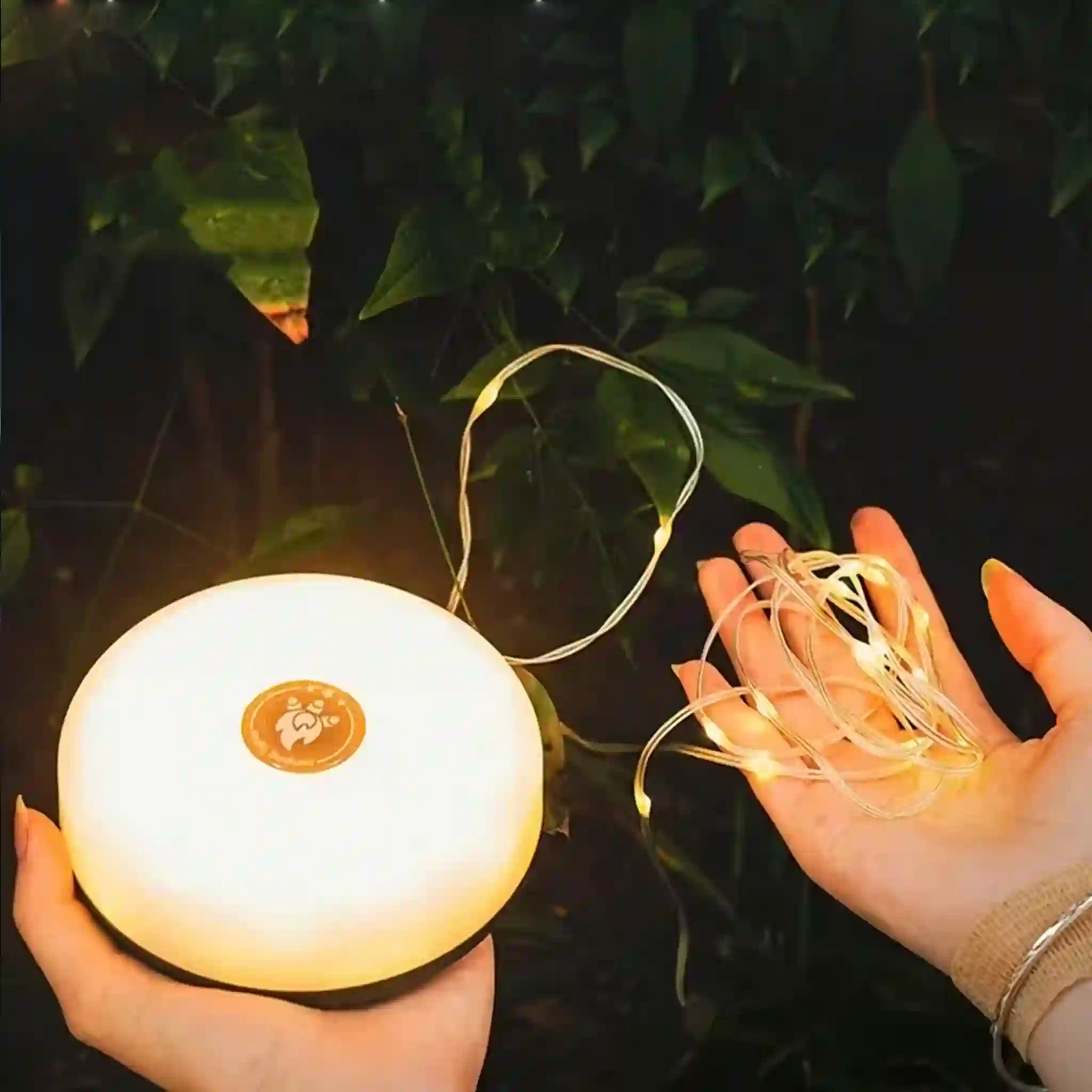 A person holding a retractable string of warm white LED lights, with the lights displaying a cozy, ambient glow.