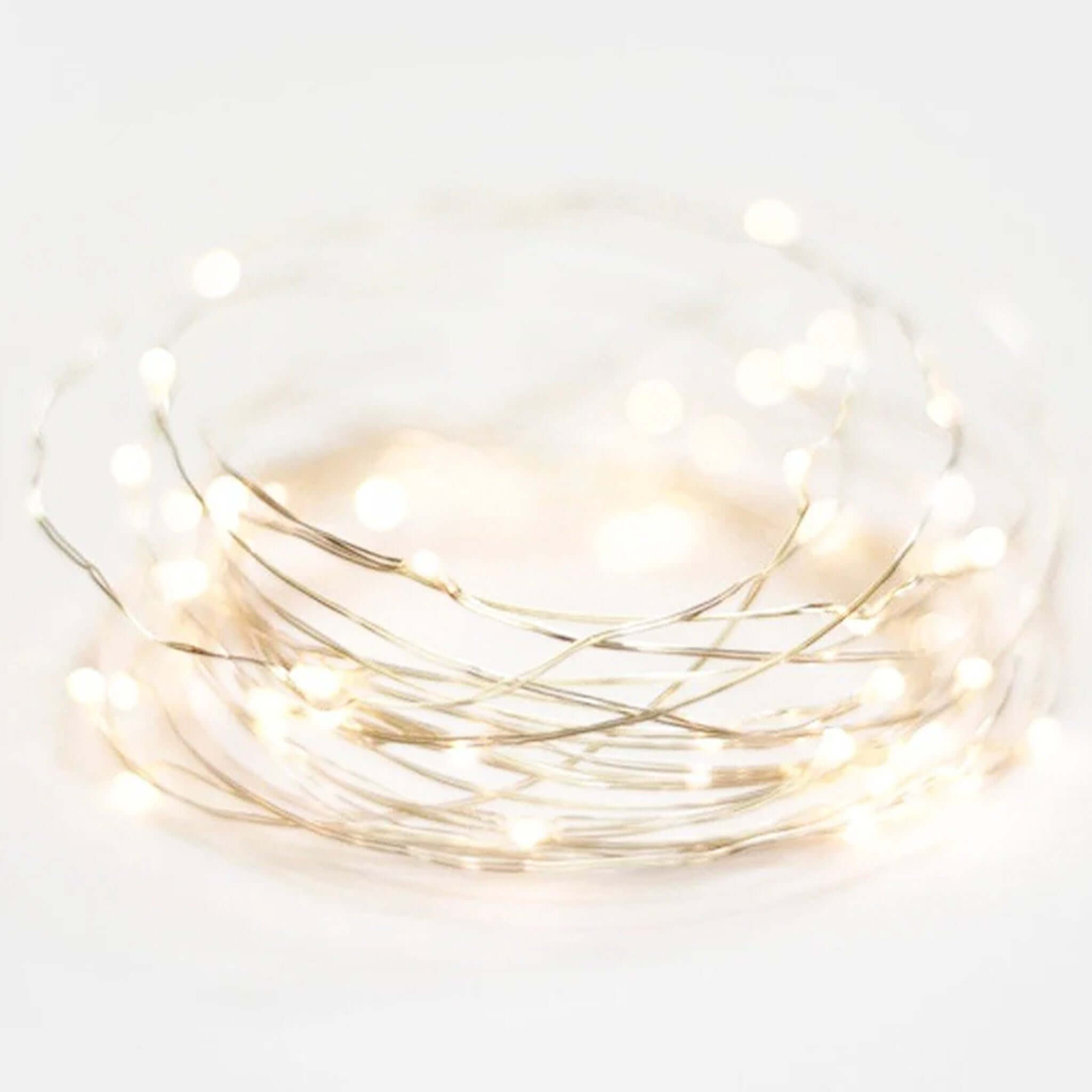 Alt Tag: Charge & Go Seed Lights - Silver 3m USB rechargeable warm white seed light string on silver wire with adjustable brightness