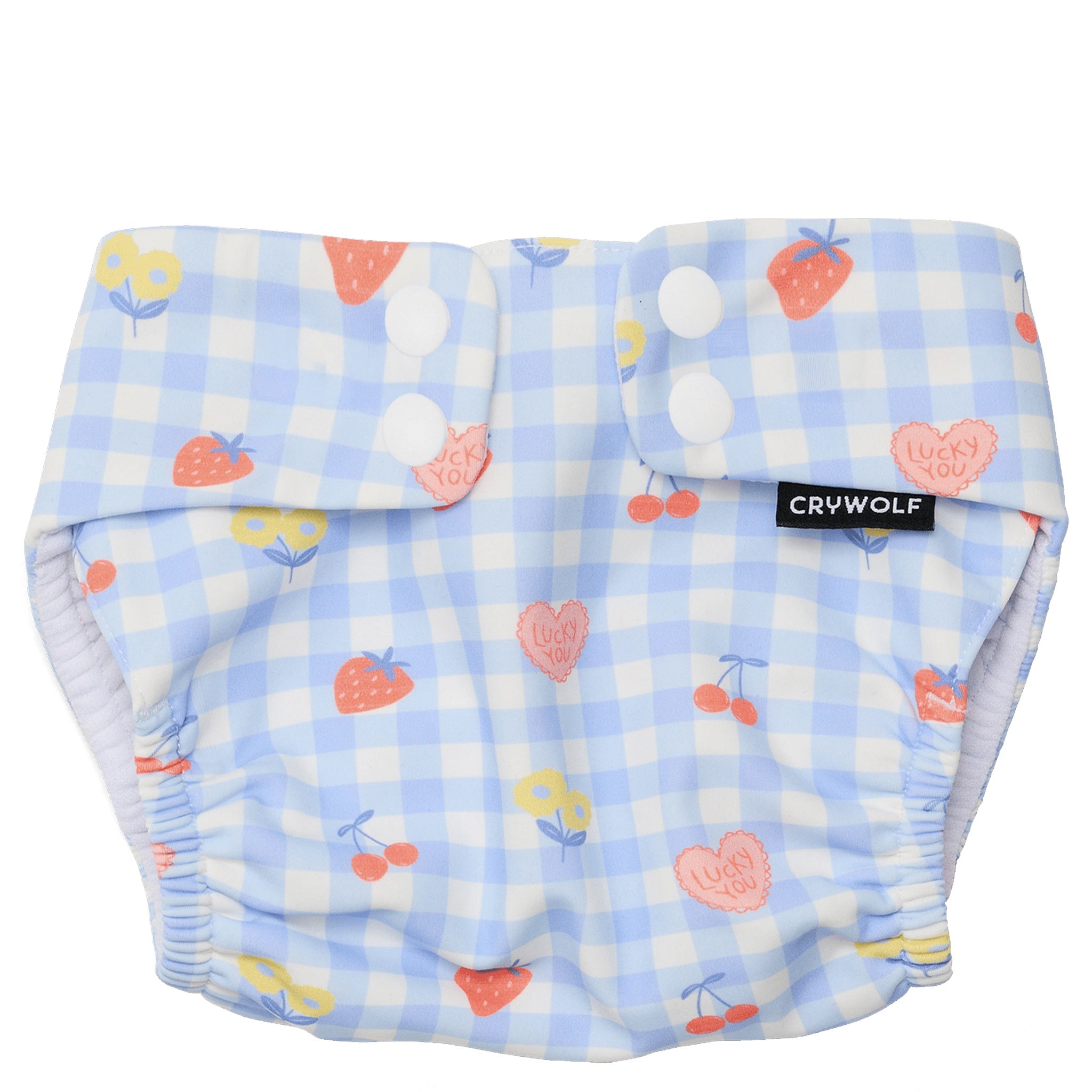 Blue and pink checkered swim nappy on a white background