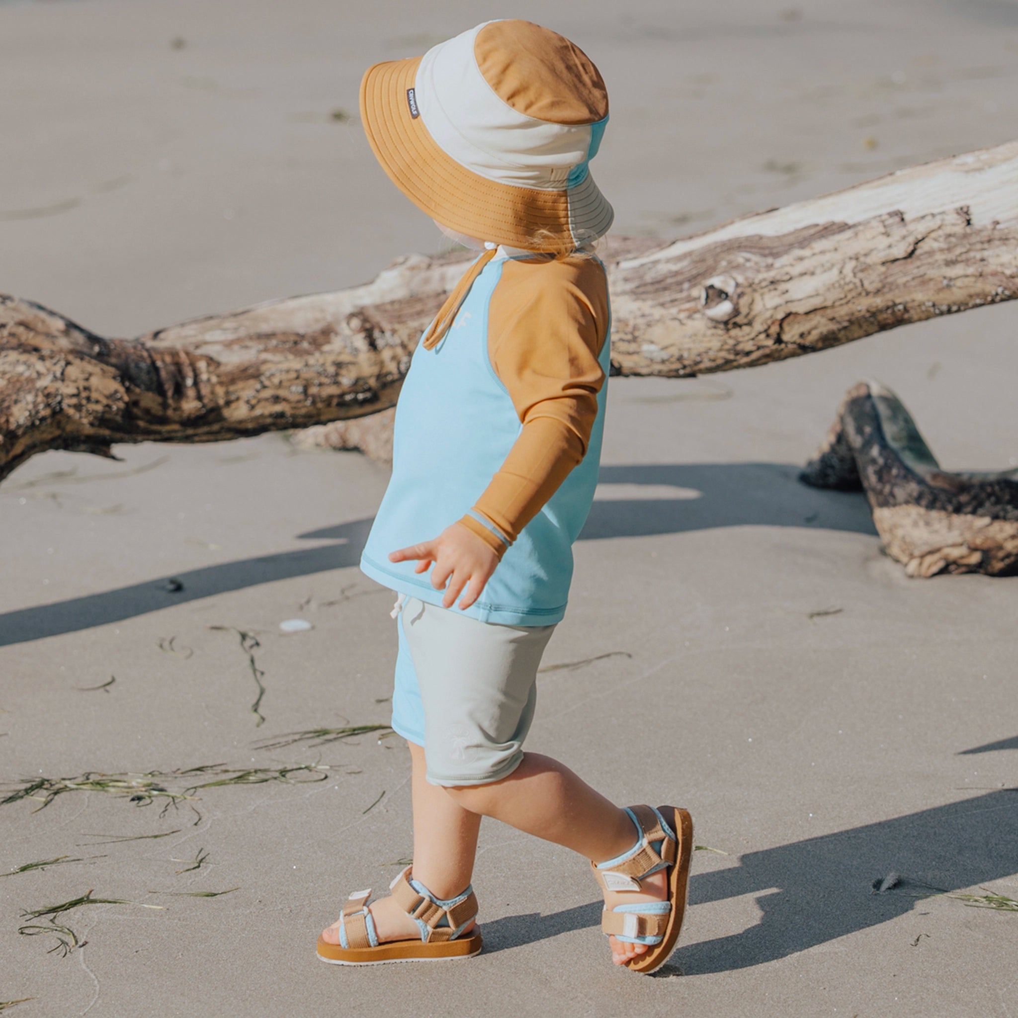 Toddler wearing a brown and blue rash vest at a beach
