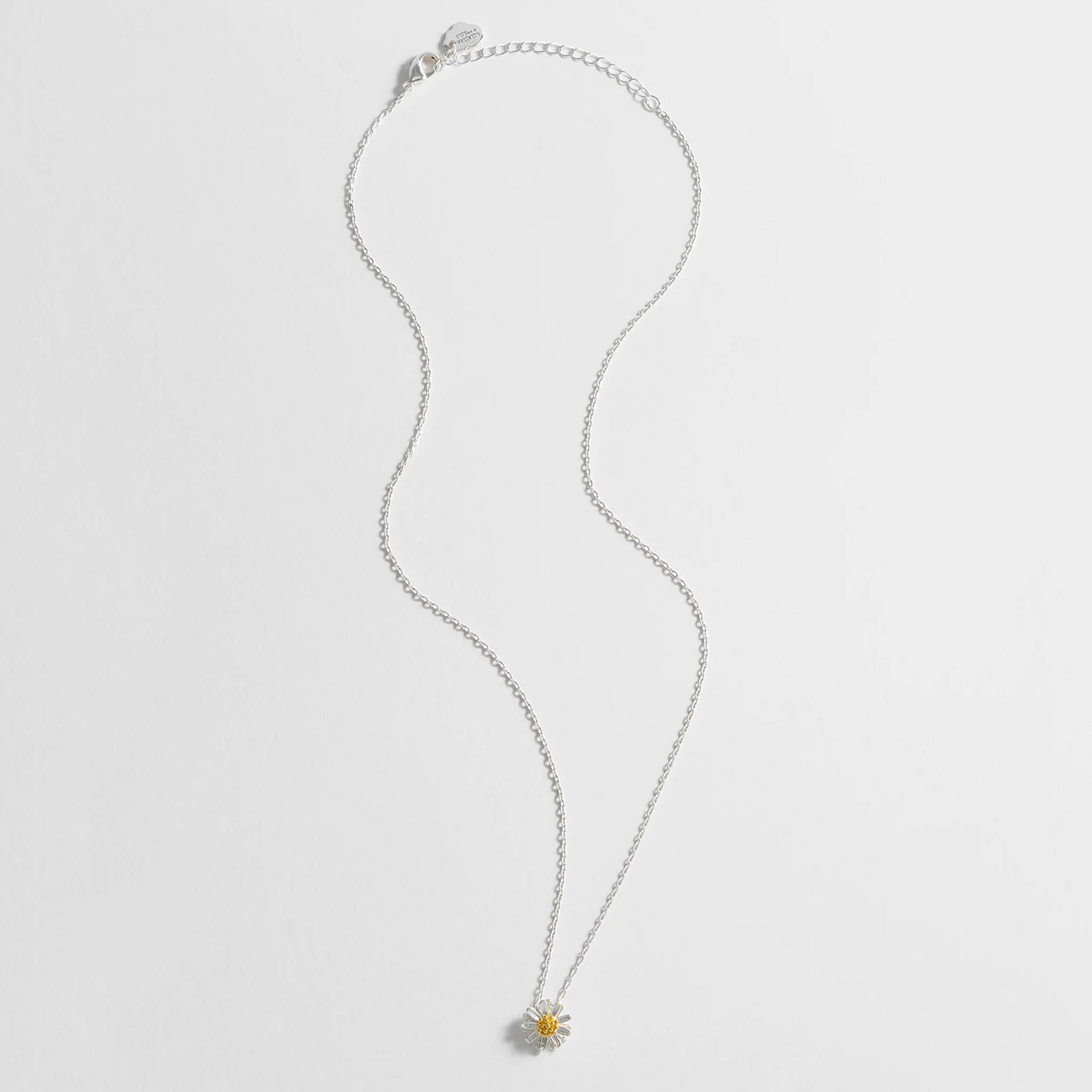 Estella Bartlett Wildflower Necklace - Silver Plated