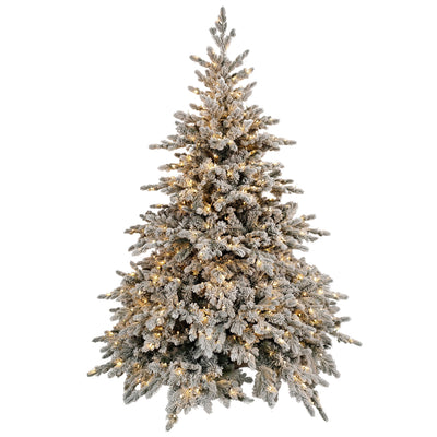 Christmas Trees & Lighting