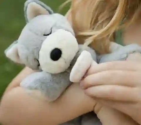 Person holding a plush wolf toy with a blurred natural background