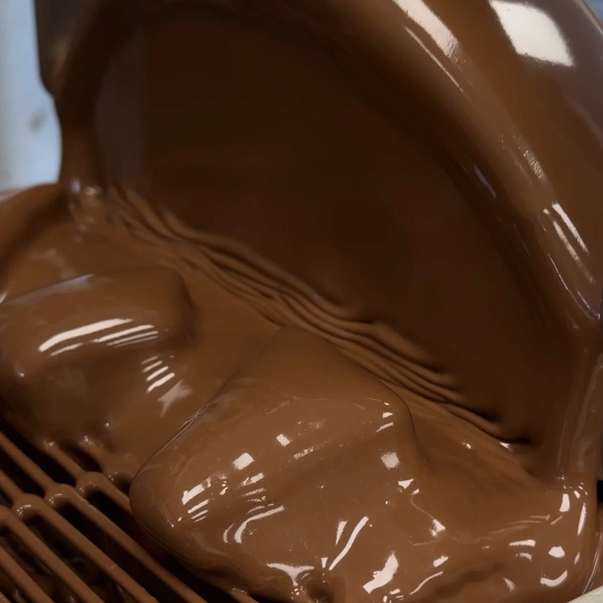 House of Chocolate Milk Chocolate Hokey Pokey House