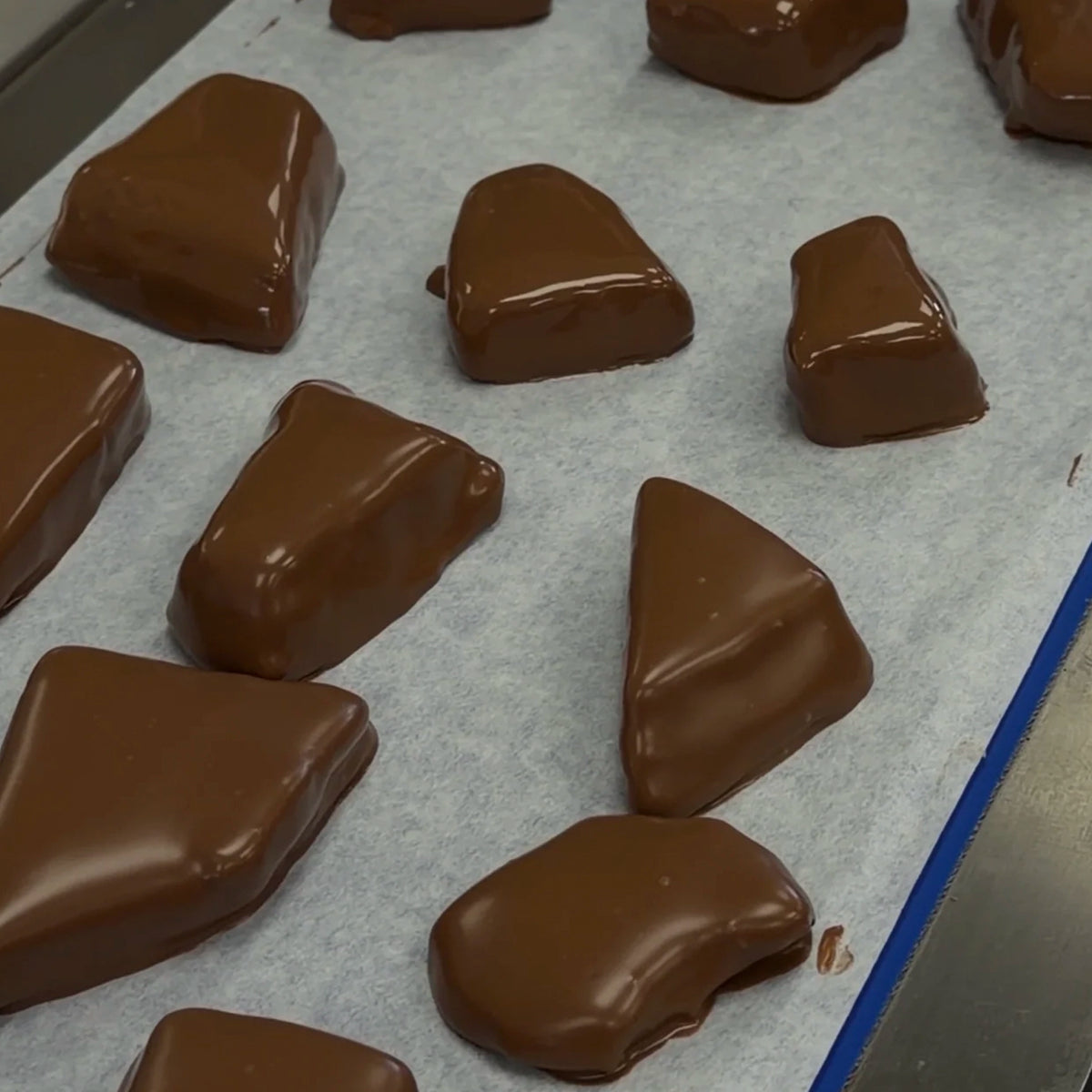 House of Chocolate Milk Chocolate Hokey Pokey House