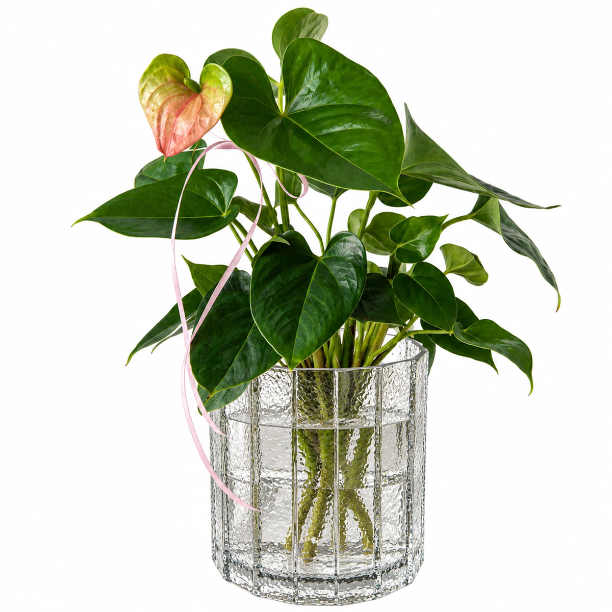 Ivy Glass Vase - Clear