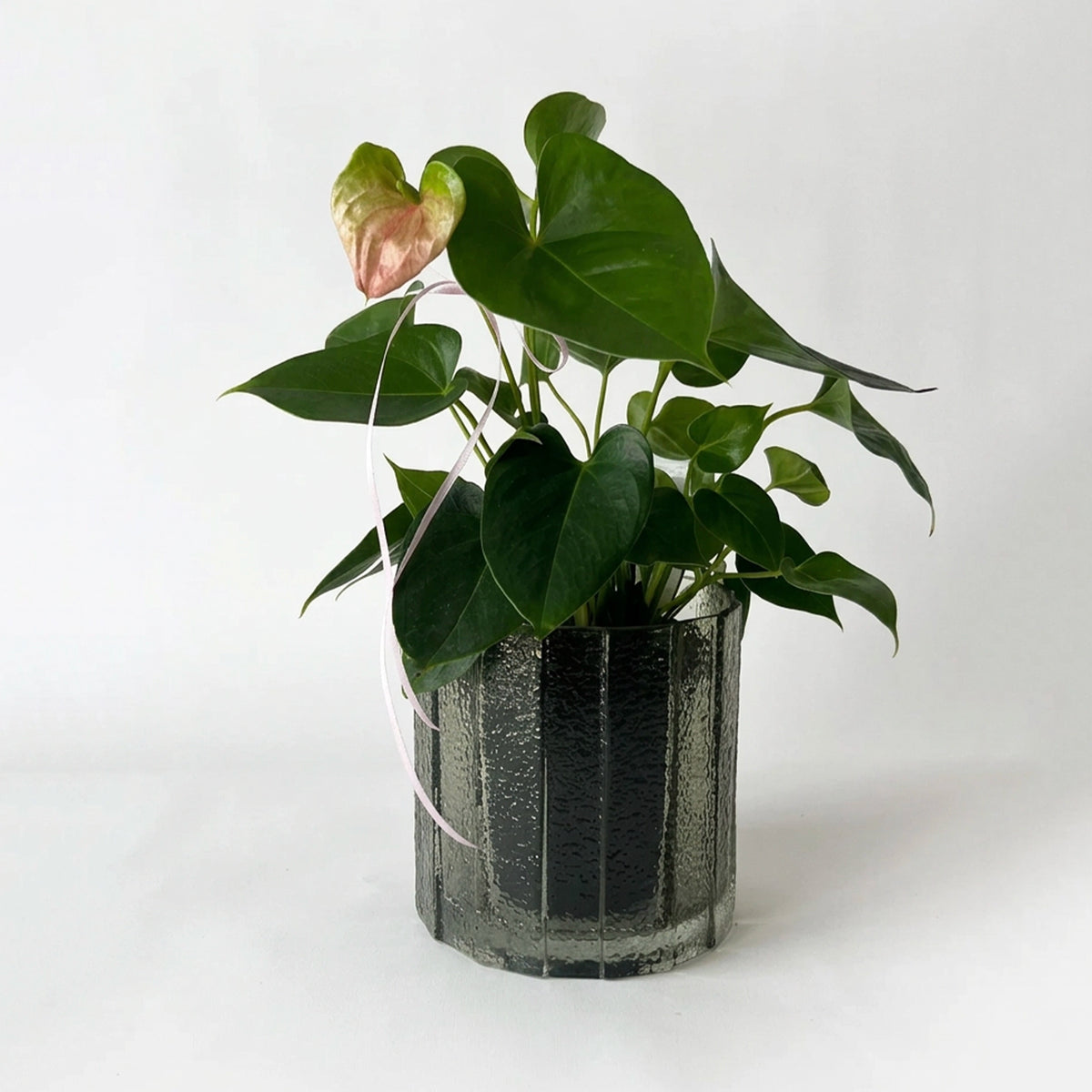 Ivy Glass Vase - Olive Green