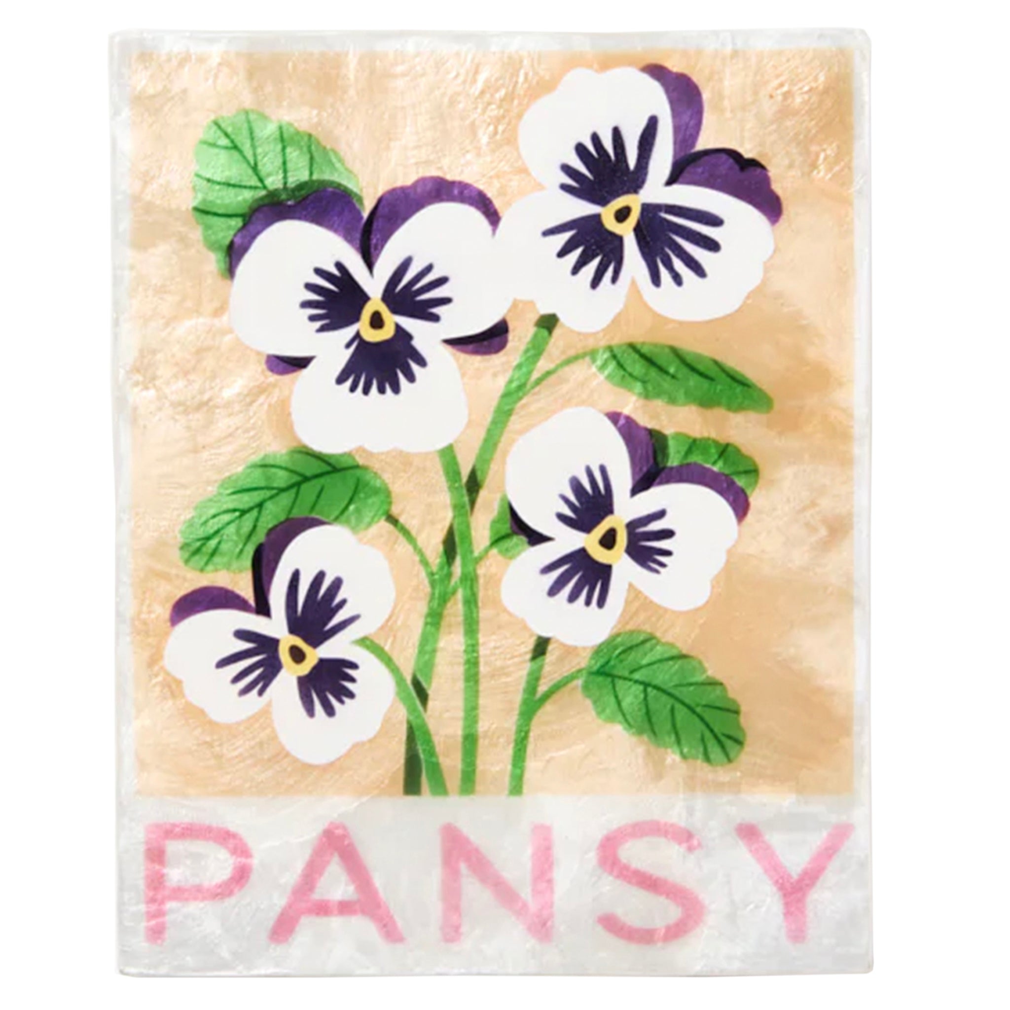 Jones & Co Capiz Shell Wall Art - Market Pansy